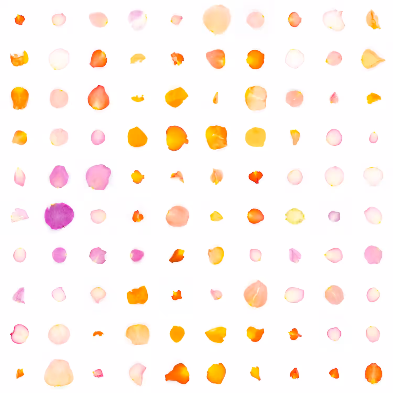 Infinite Petals 10x10#20052