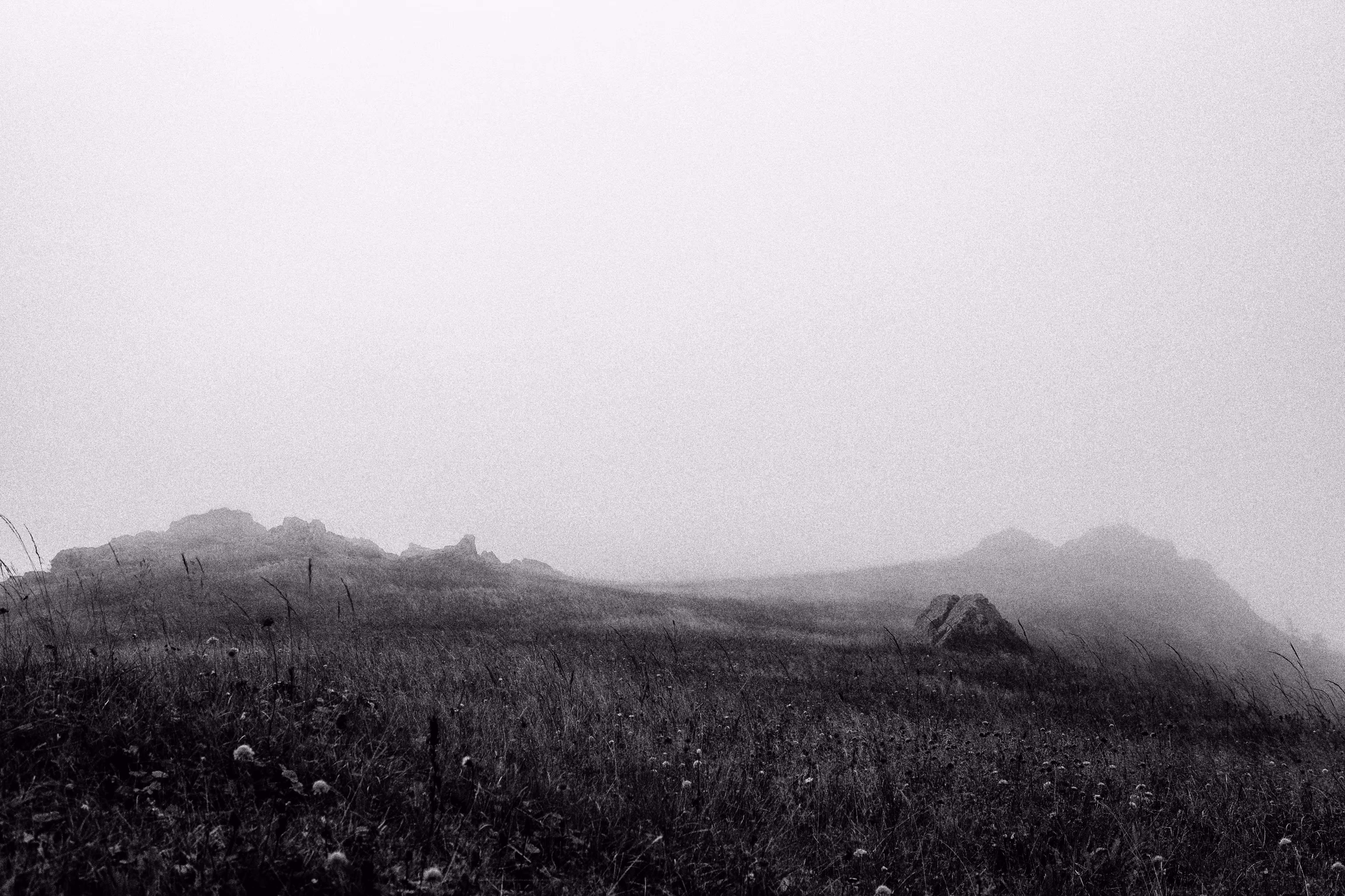 The Happy Valley: Fog on the Hill