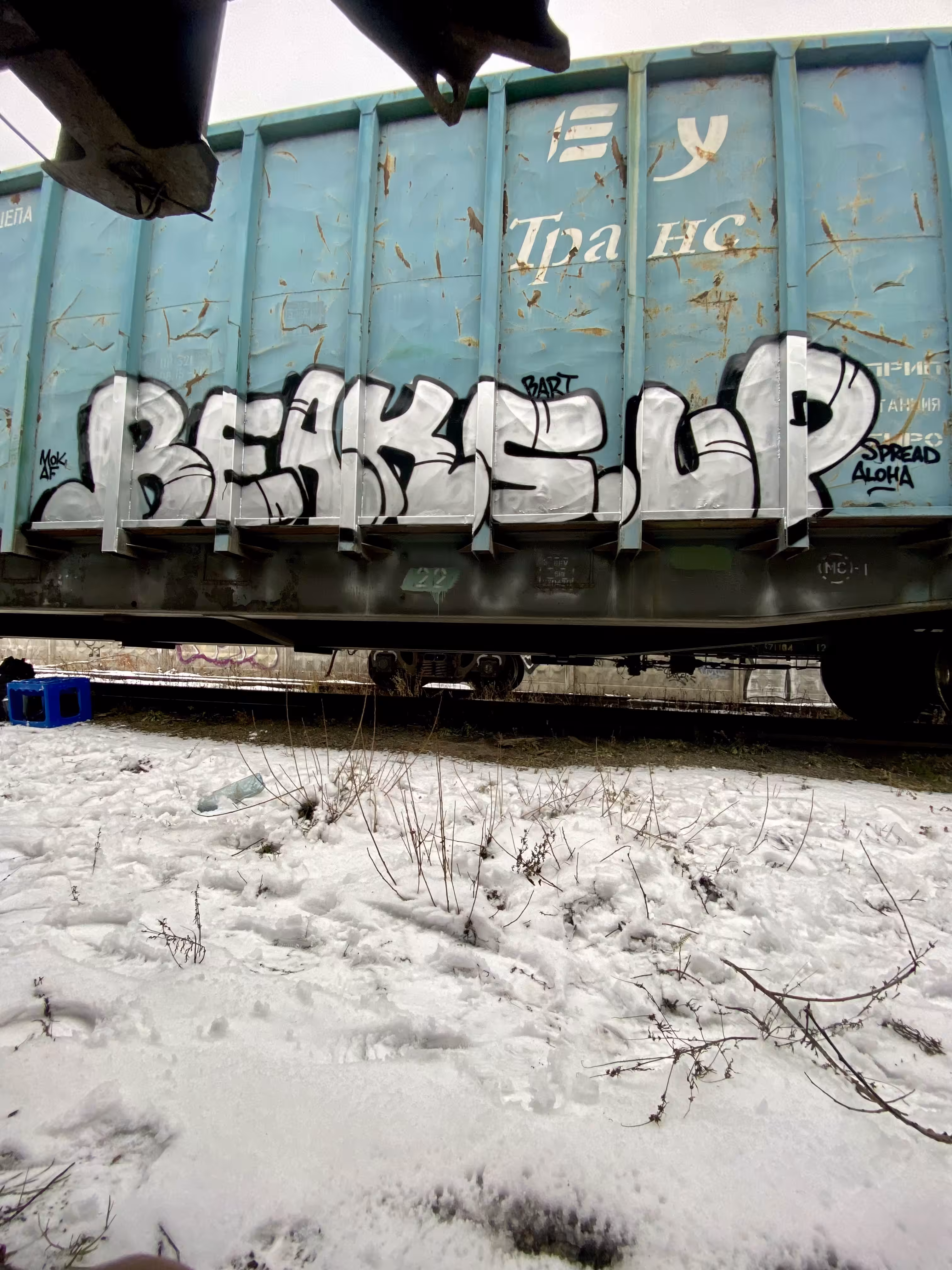 BEAKS UP