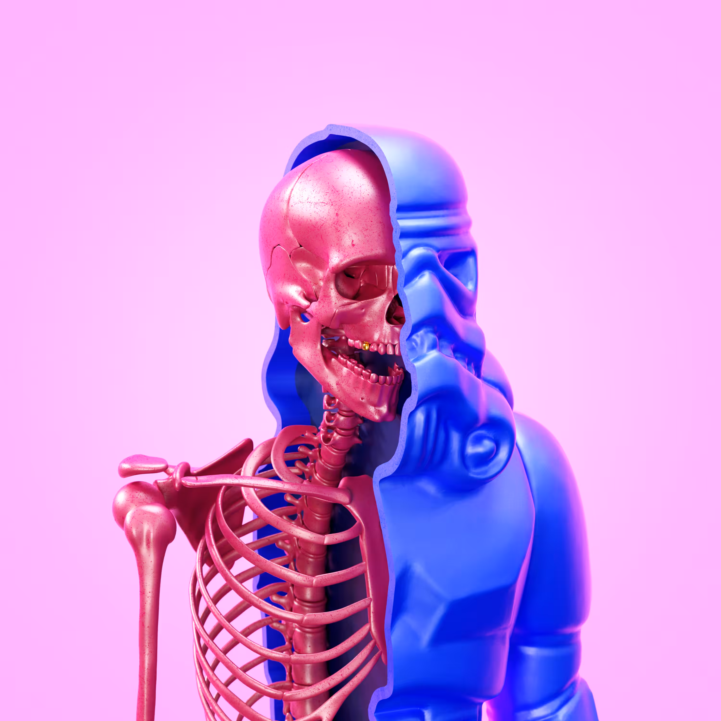 Plastic Dissection - 2