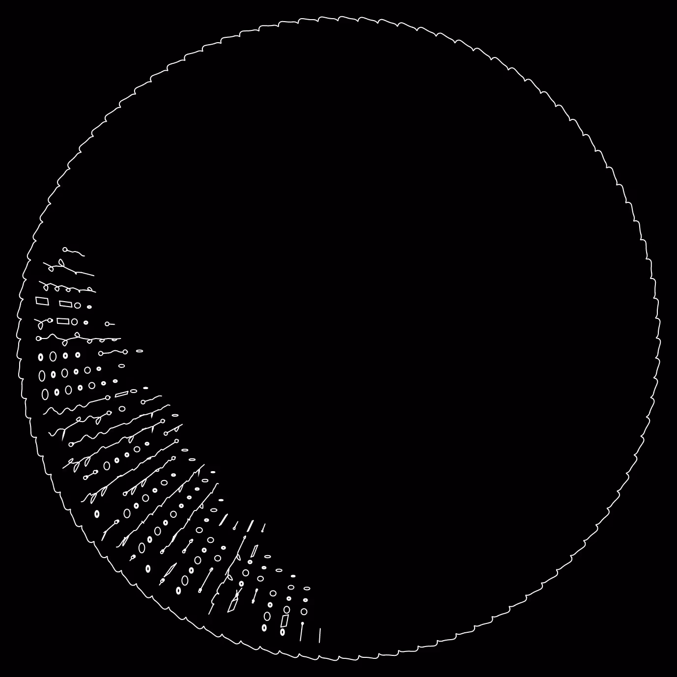 codex 1029888551.