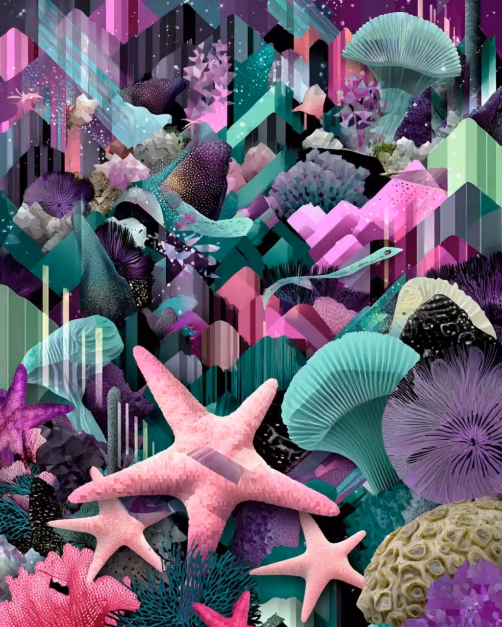 The Coral Algorithm of Dreams