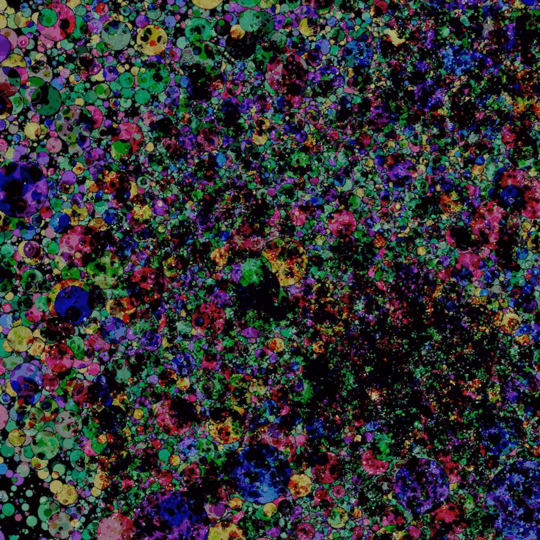 Pixel Sprak & Knaster