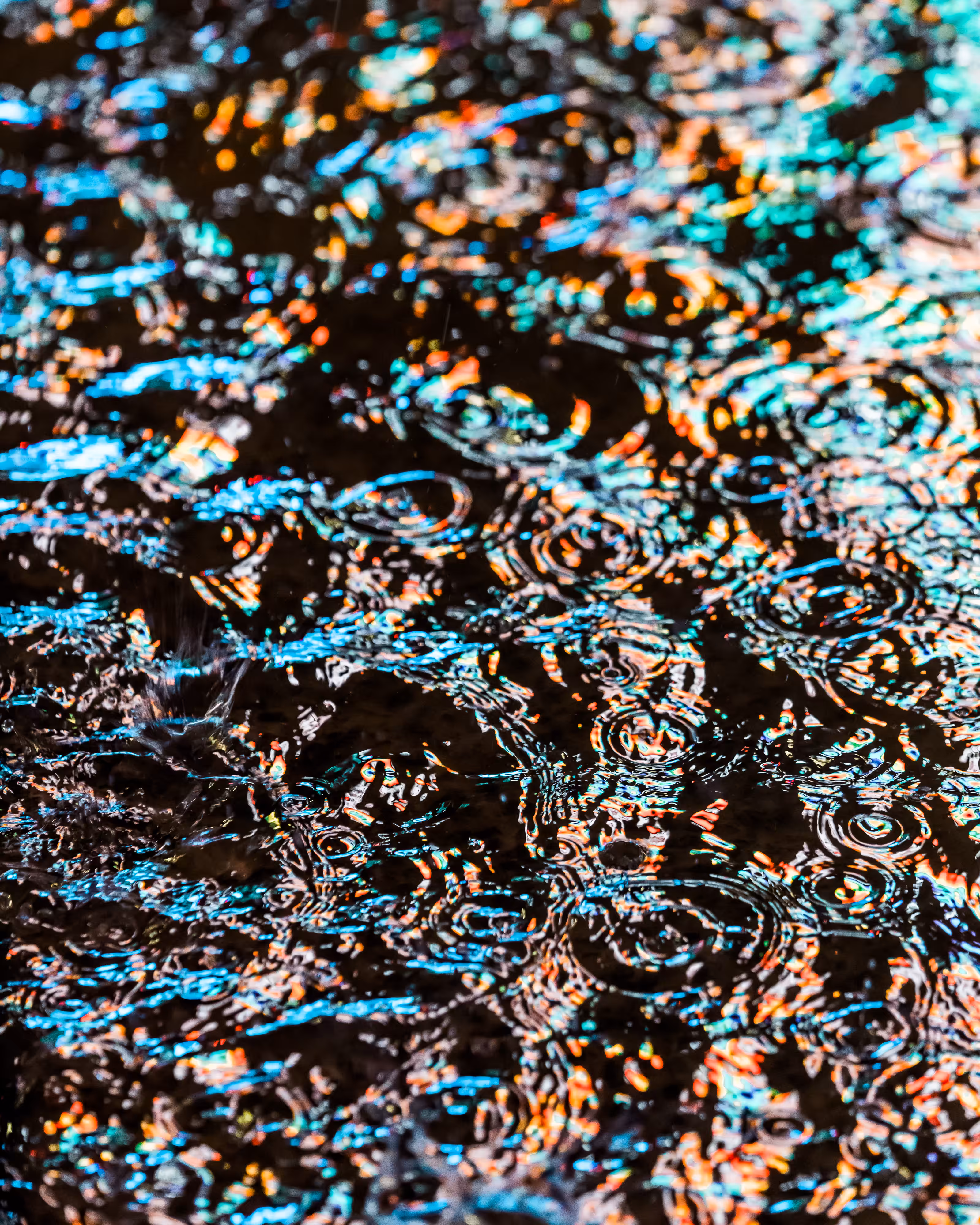 DRIP DROP: DRIP #564