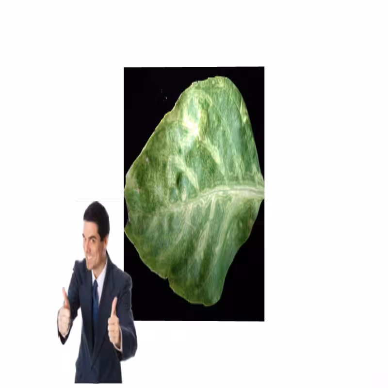 ART BASIL 2022 #34