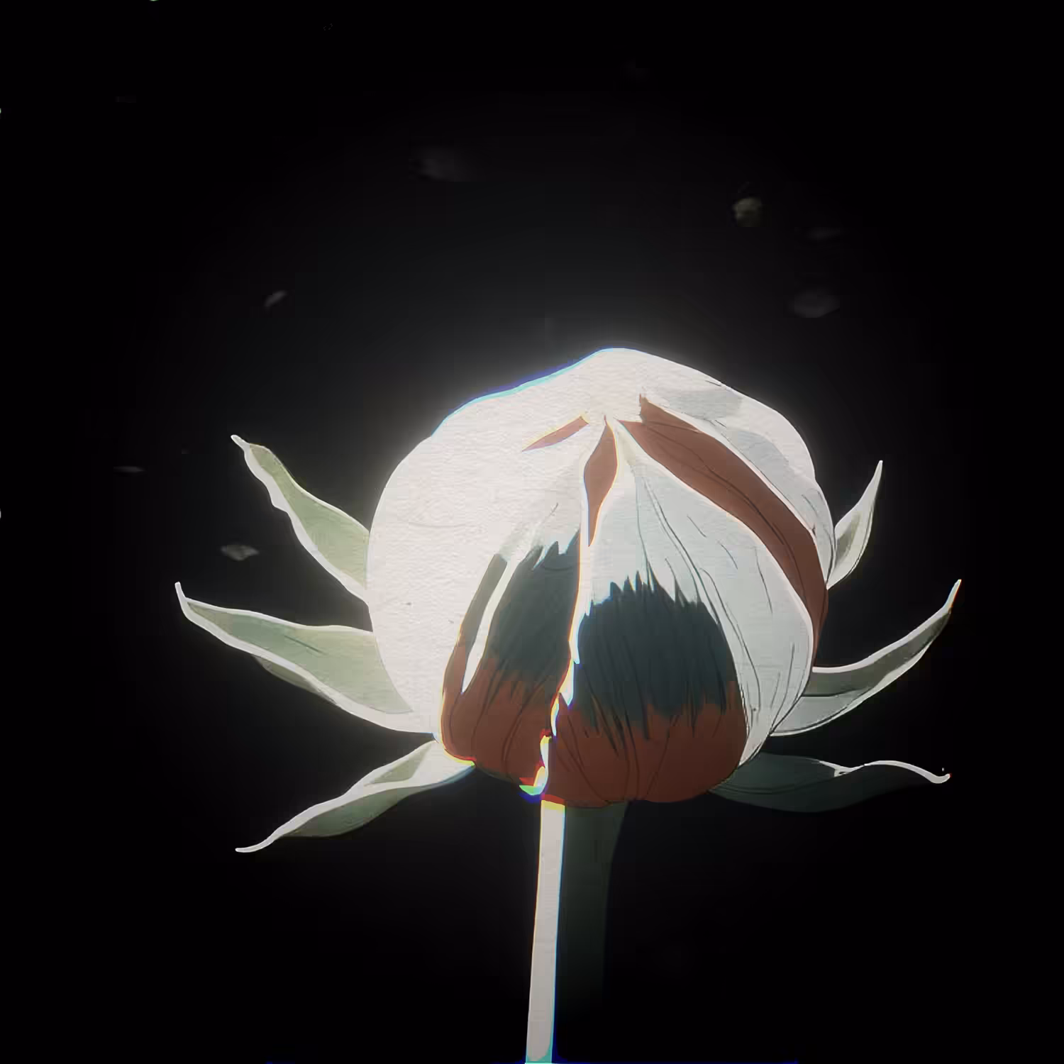 Flowers #3