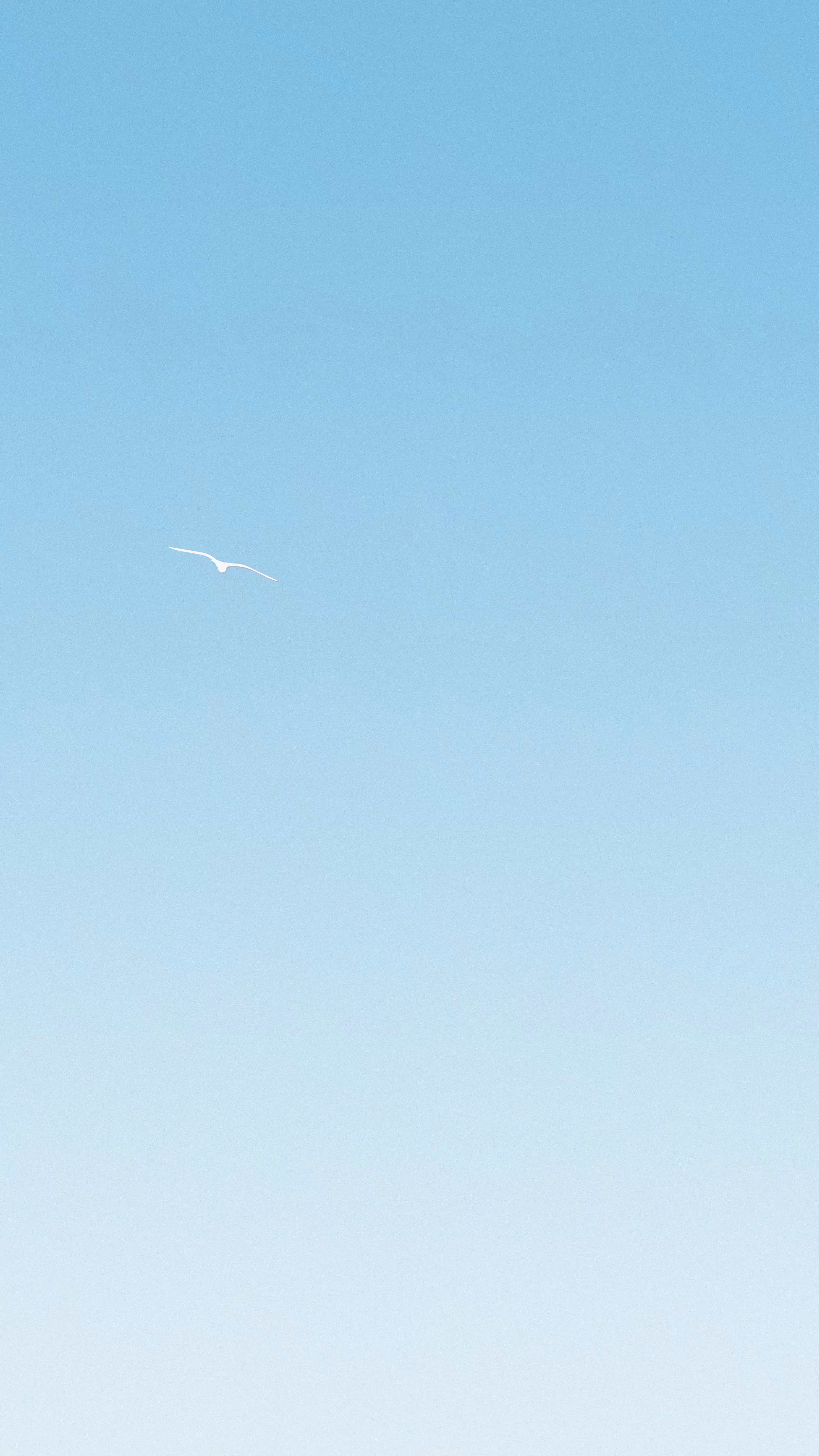Bluesky