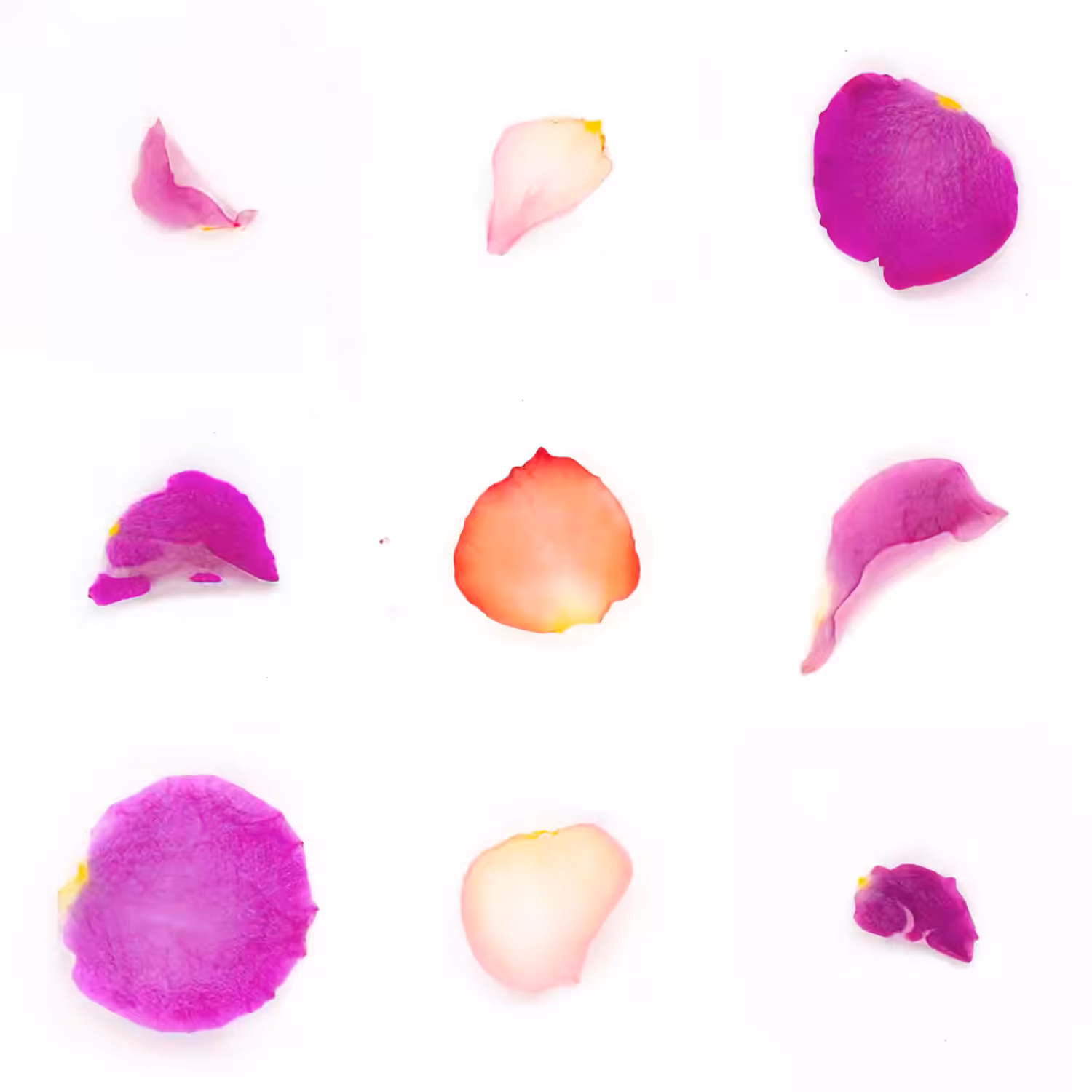 Infinite Petals 3x3#2062