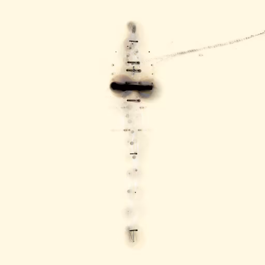 Spectral Beings: Spectral Being 512