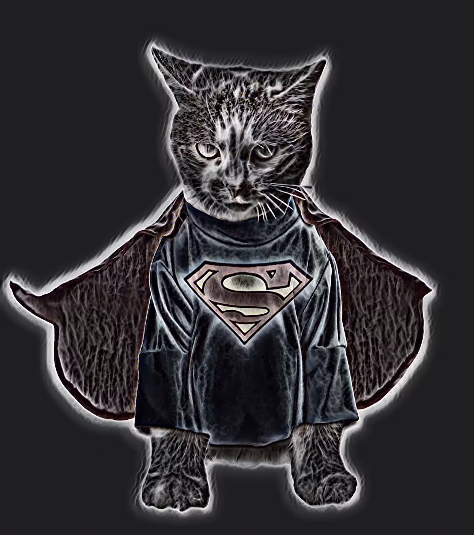 Cat of Steel