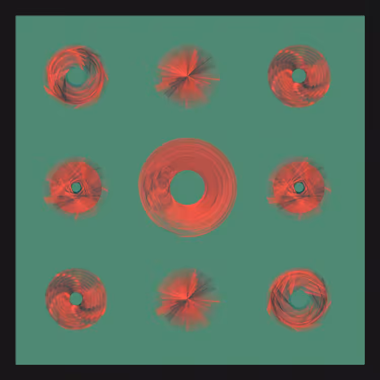 Spiny Spinners #17