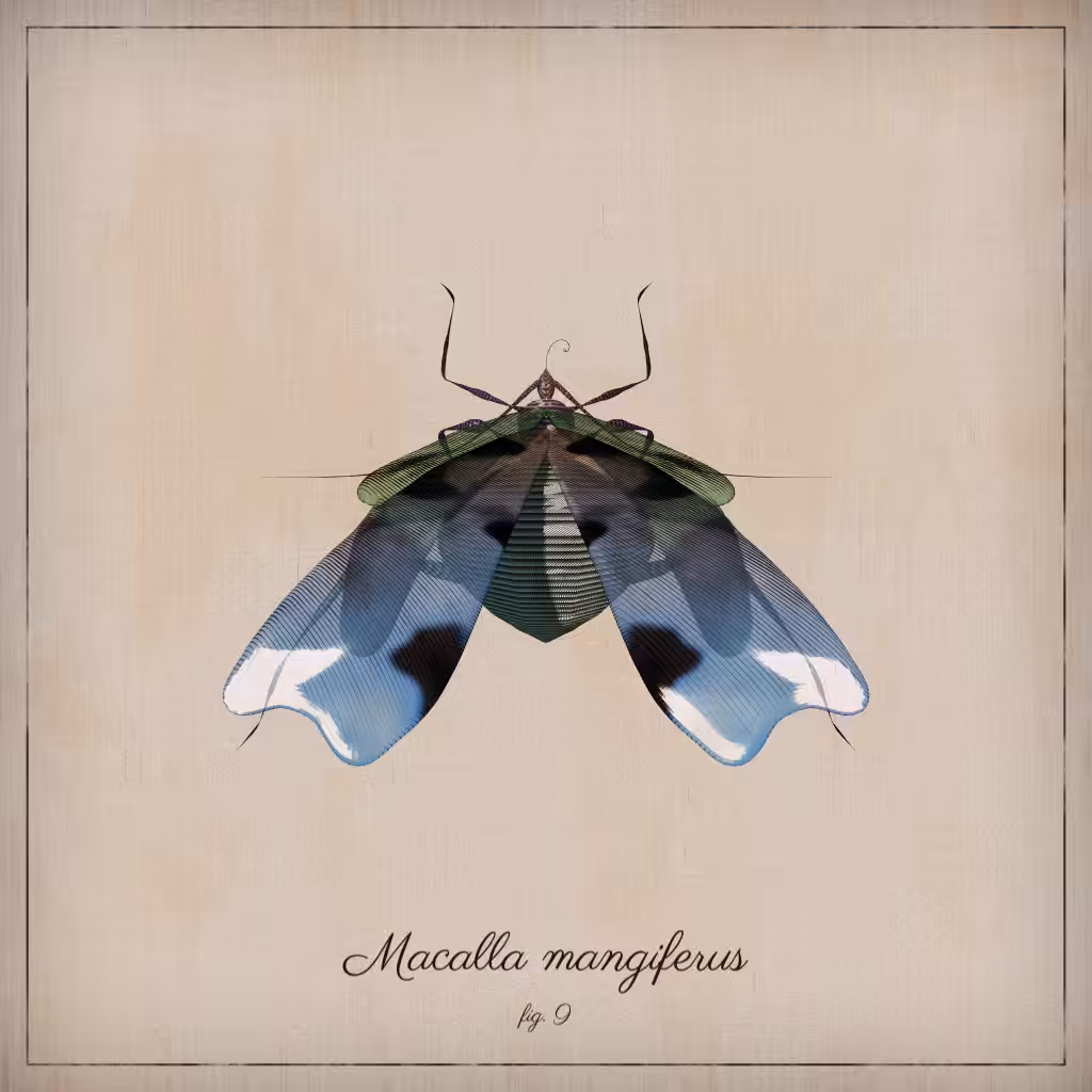 ProcGen Entomology #134