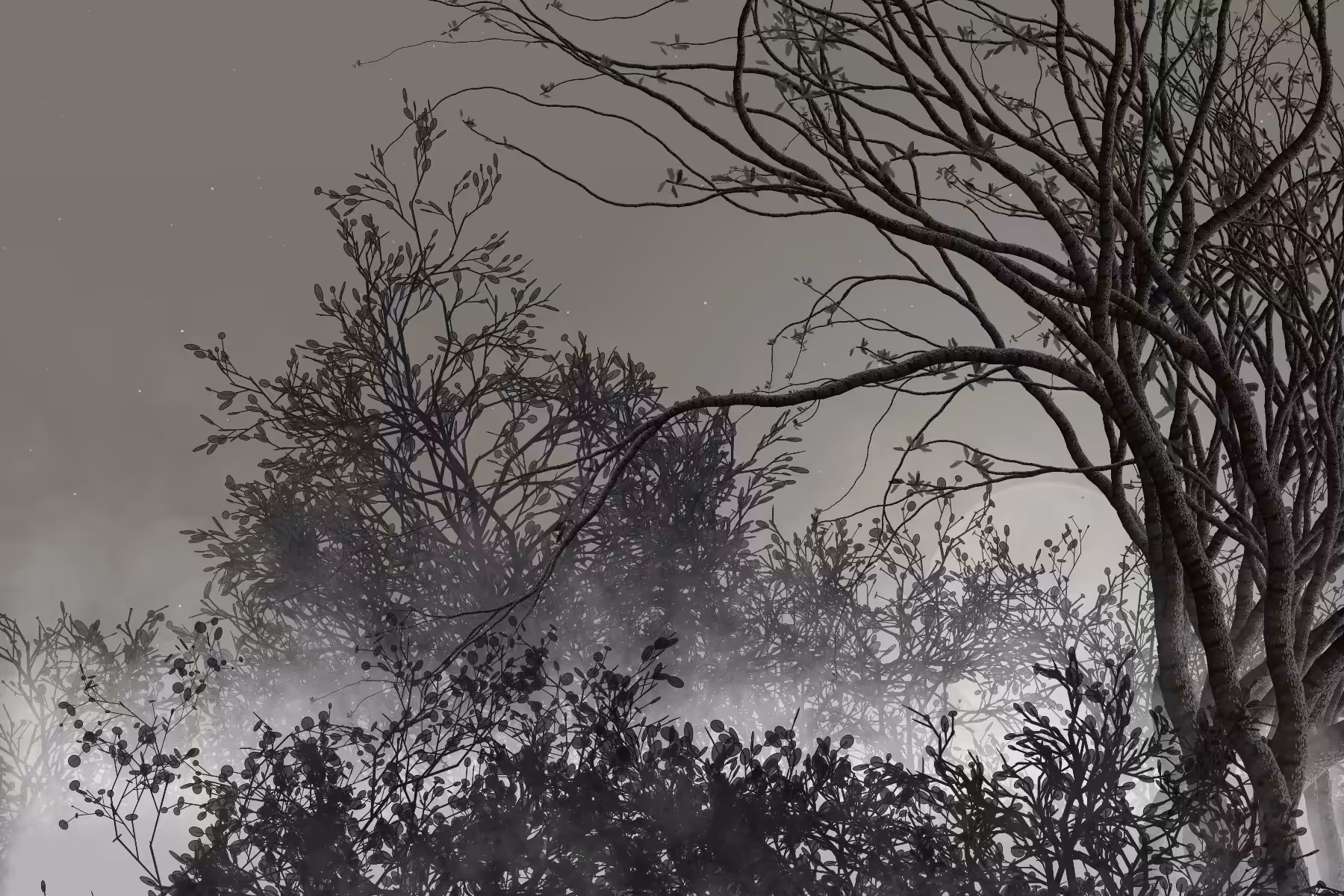 Morning Mist #57
