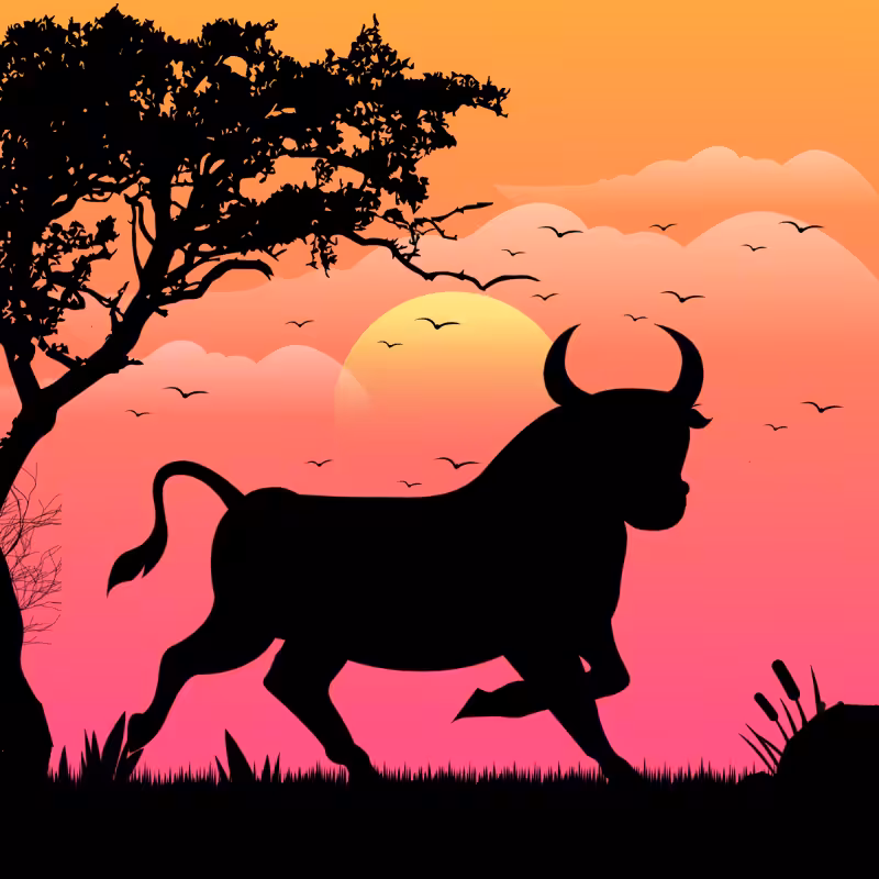 We Care...Bull #6