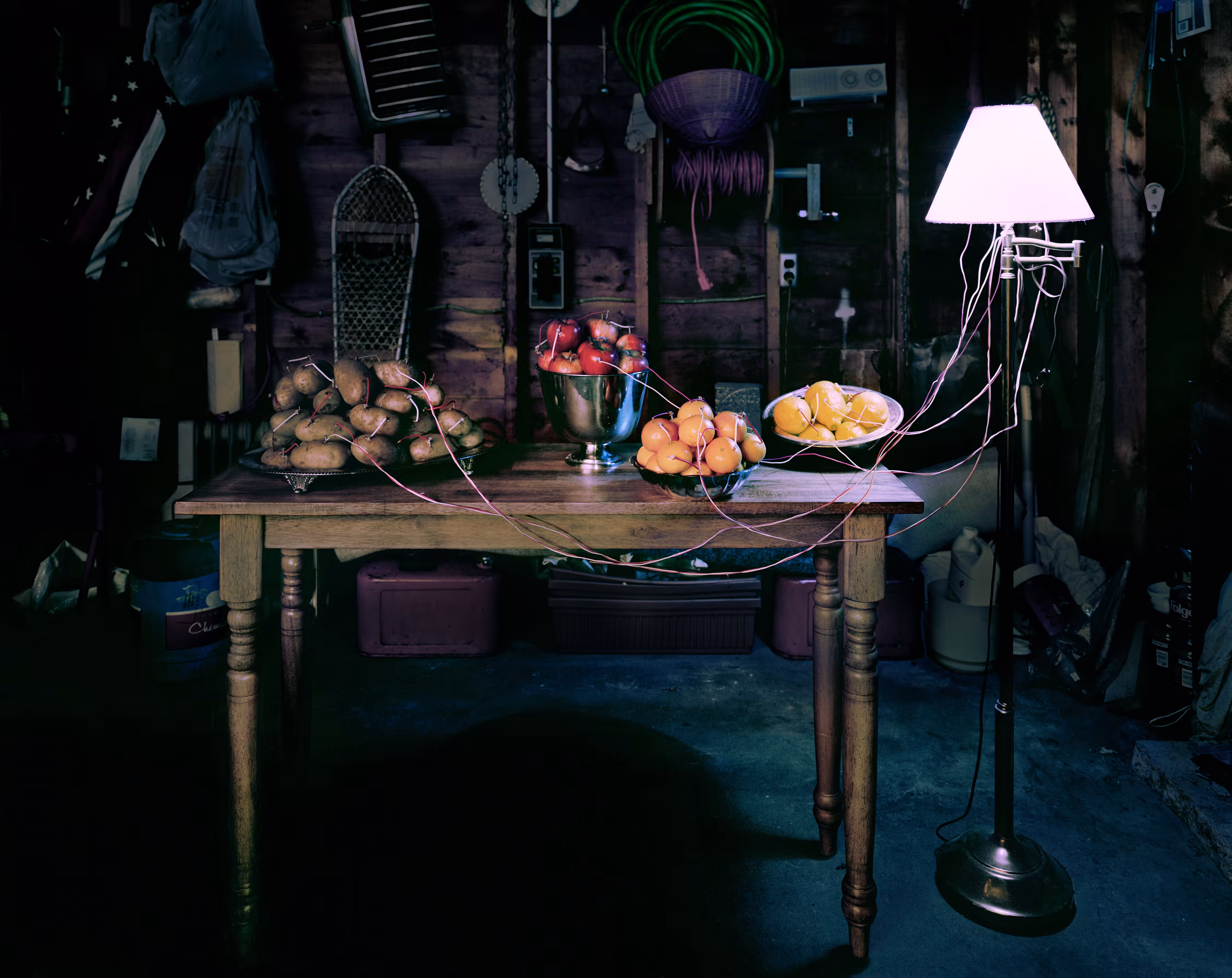 Back to Light - Garage with Organic Batteries, 2011