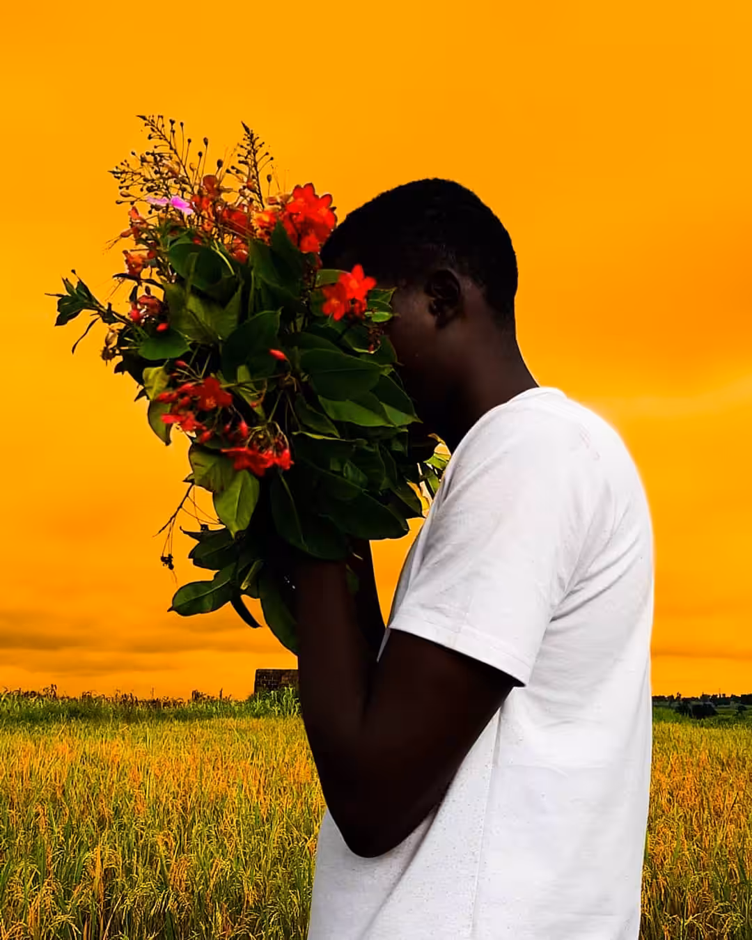 Bring me Flowers 💐: Bring me flowers