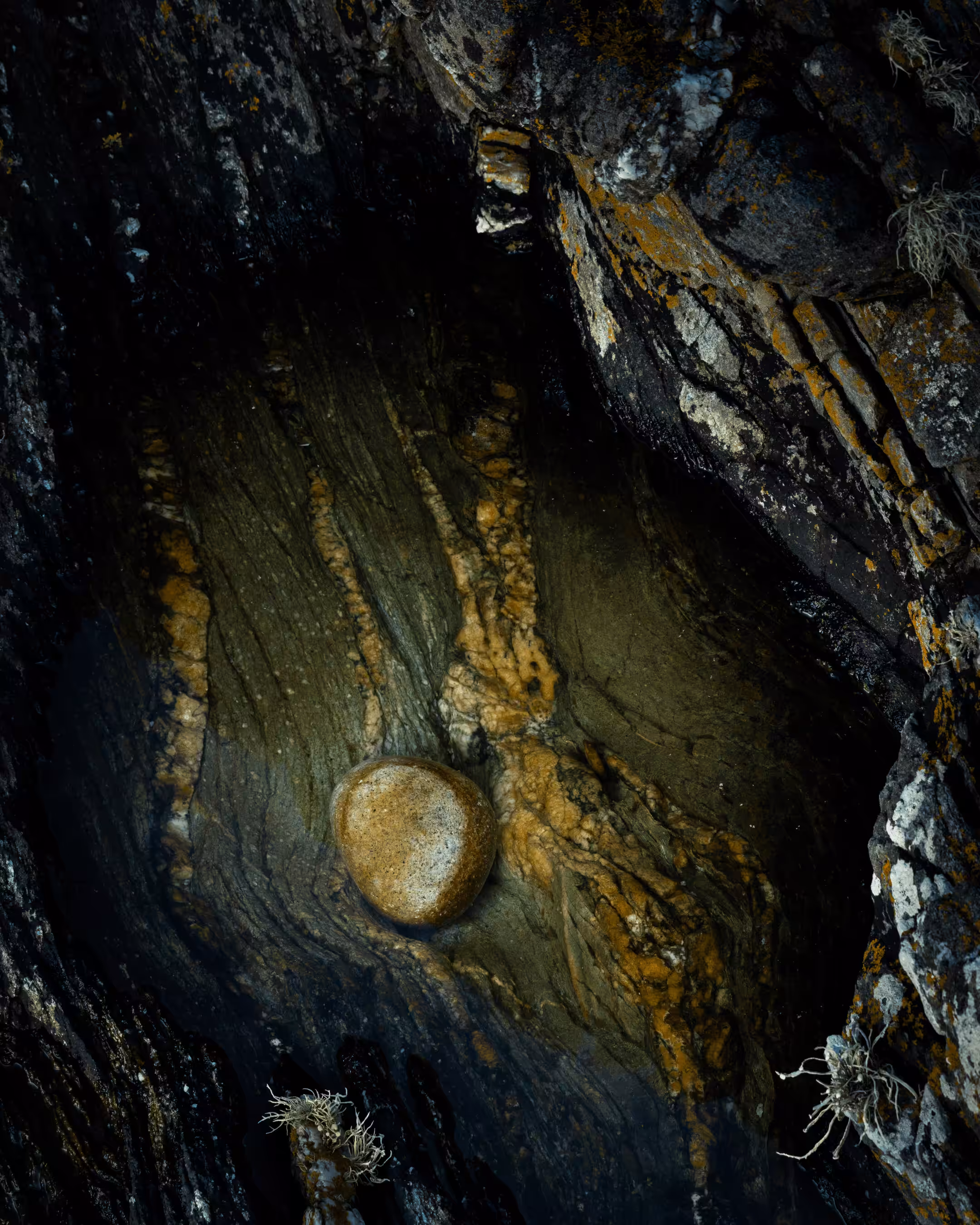 Elements #45 - Solitary