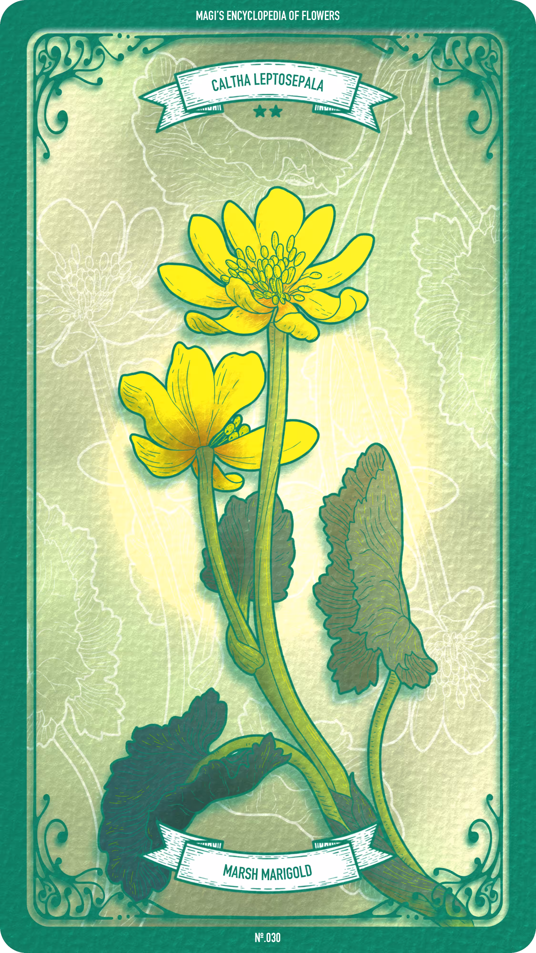 Magi's Encyclopedia of Flowers: 030 Marsh Marigold