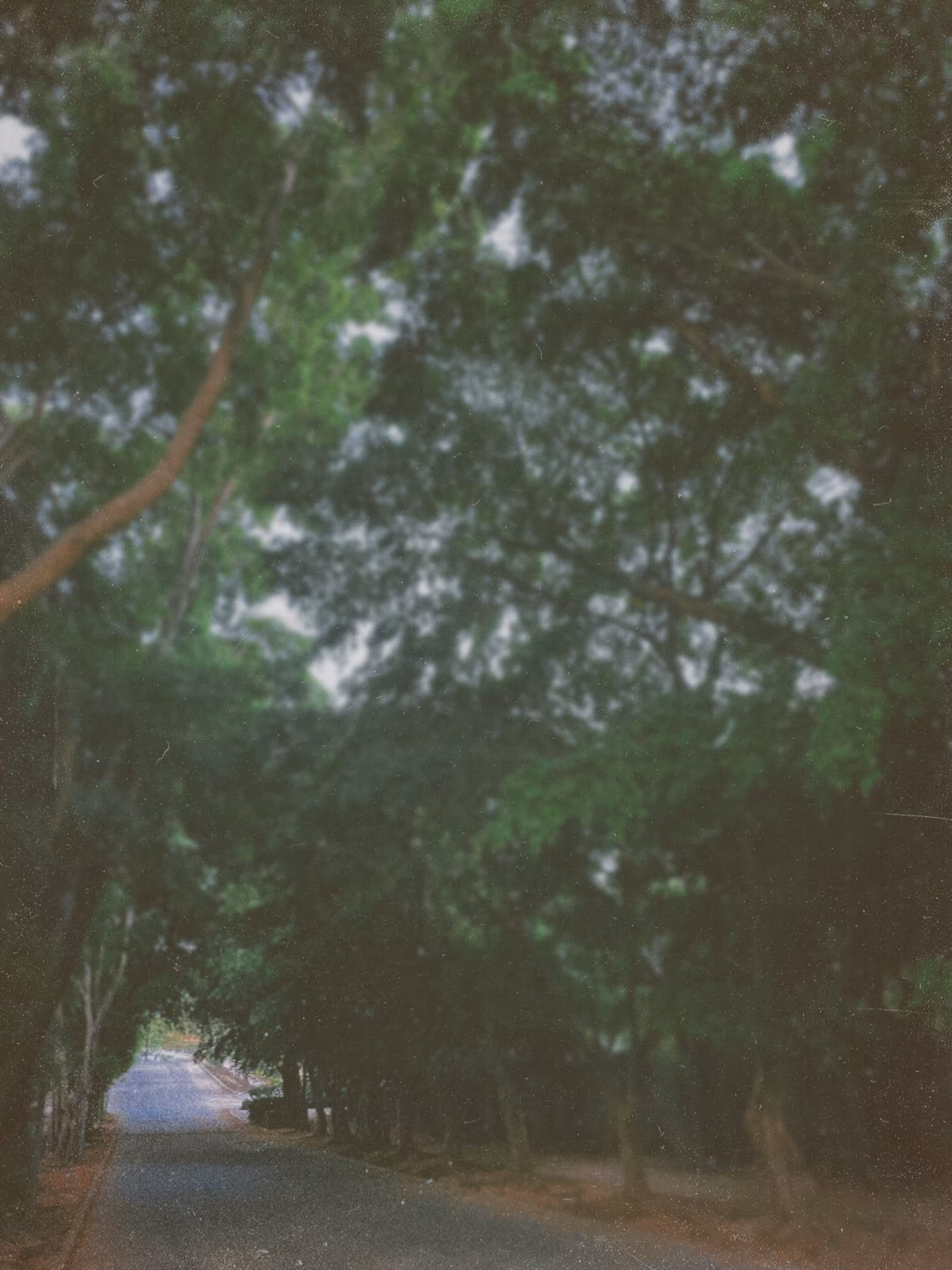 Morning Walk 02