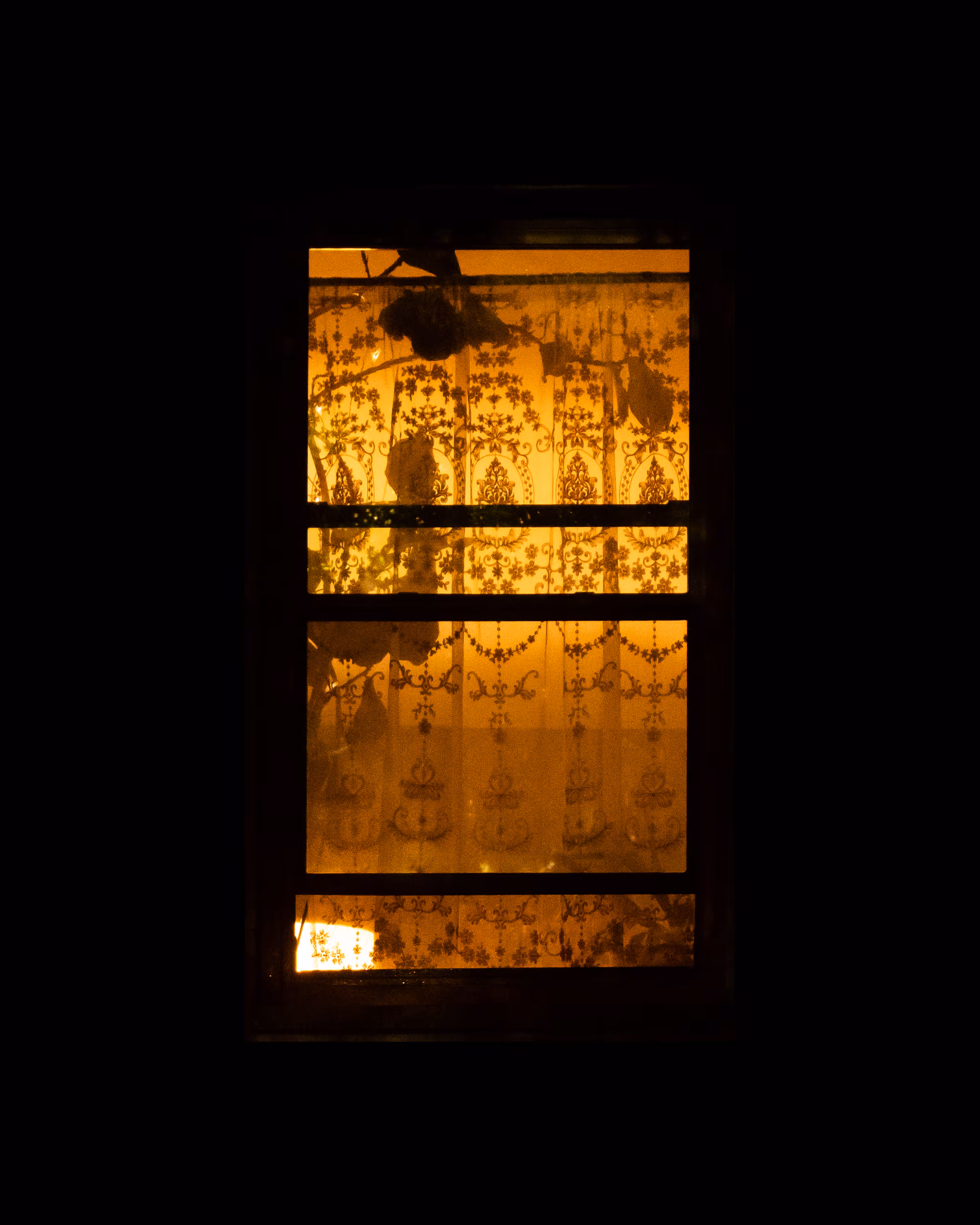 WINDOWS // NYC: WINDOW 178