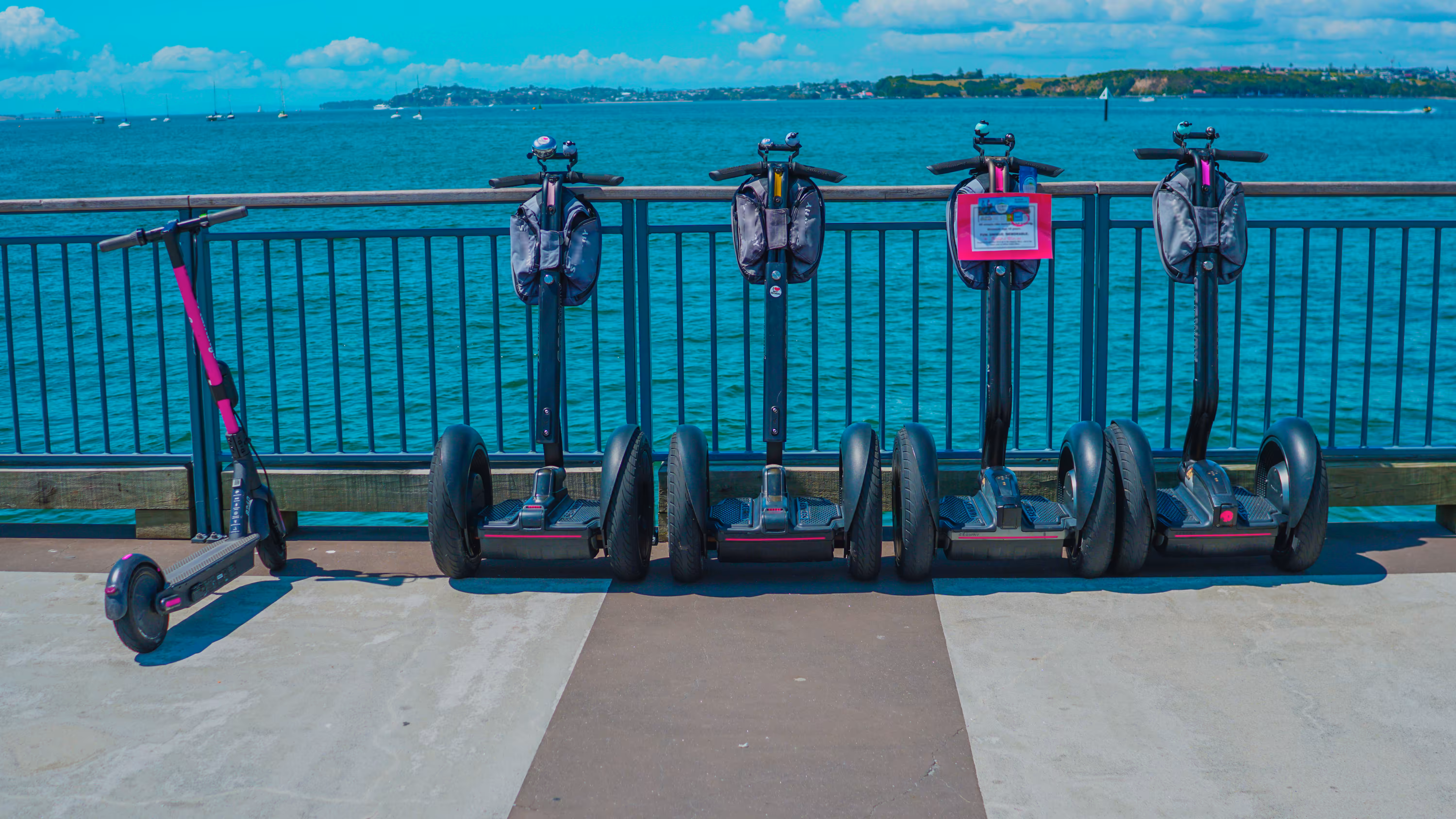Scooter family