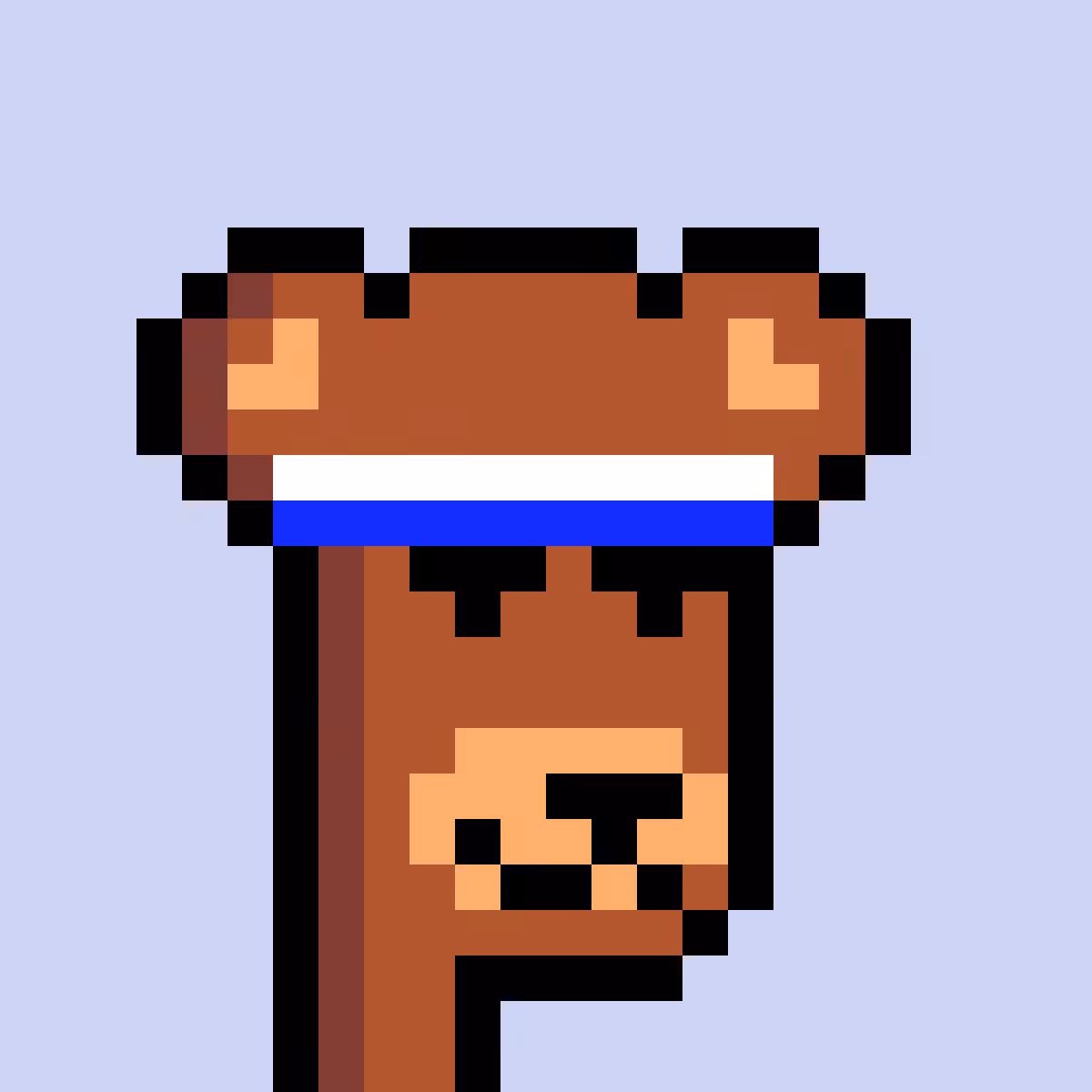 BearPunks #1261
