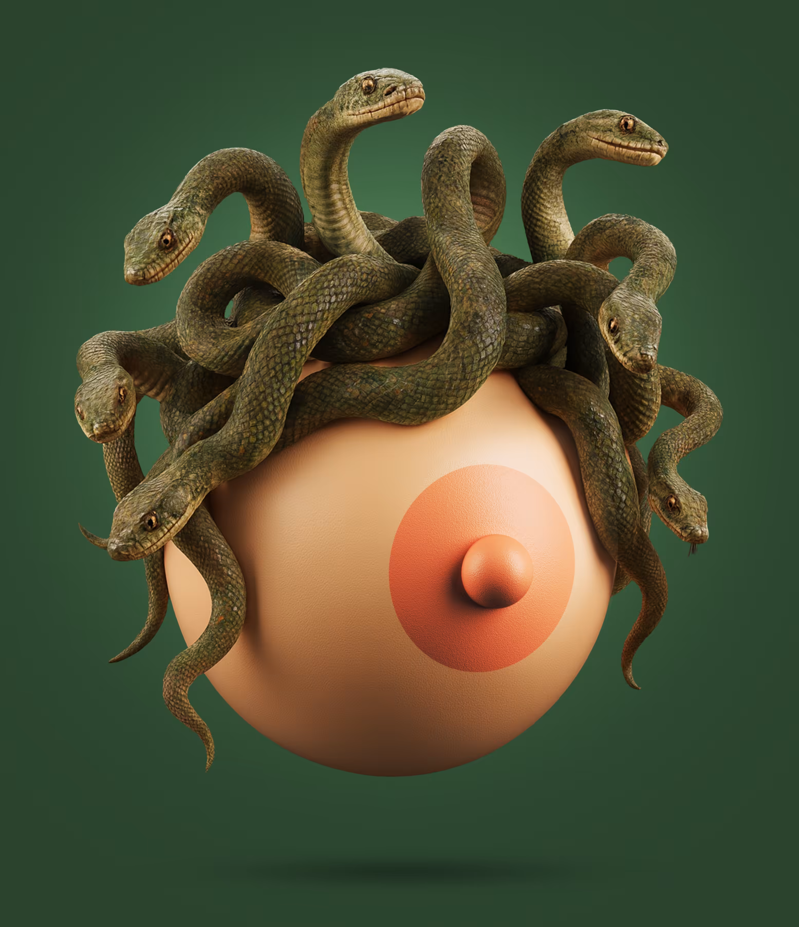 MeduBust