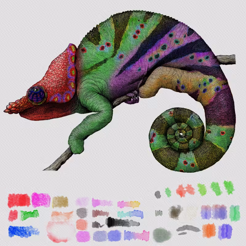 Colorful Cameleon #4