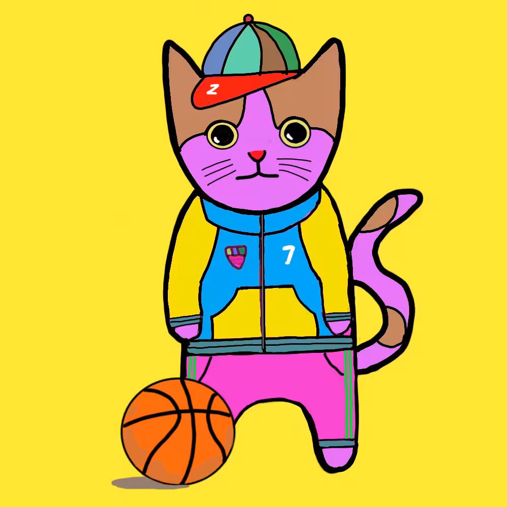 Sports cat #9