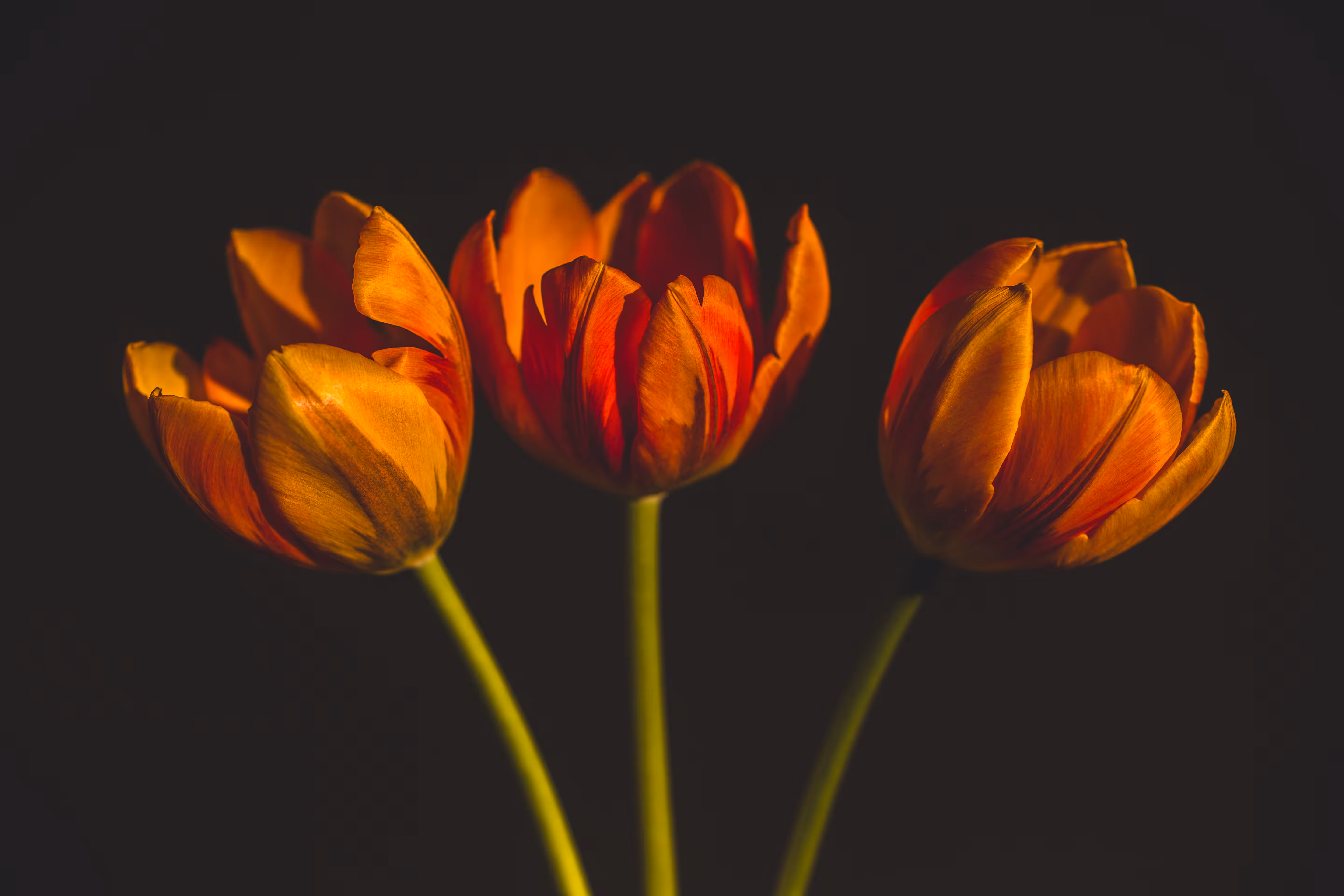 Glow Together