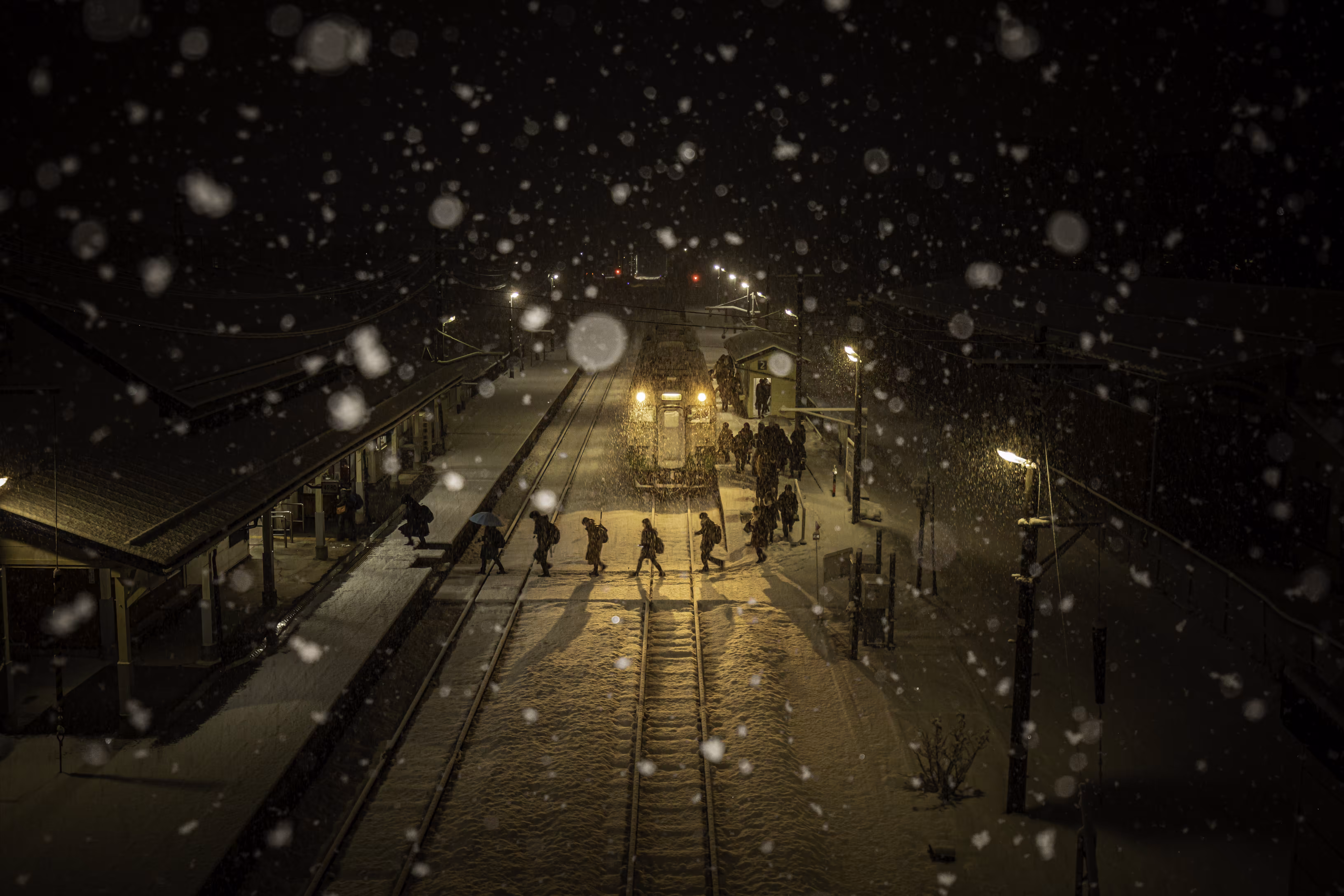 The Last Winter