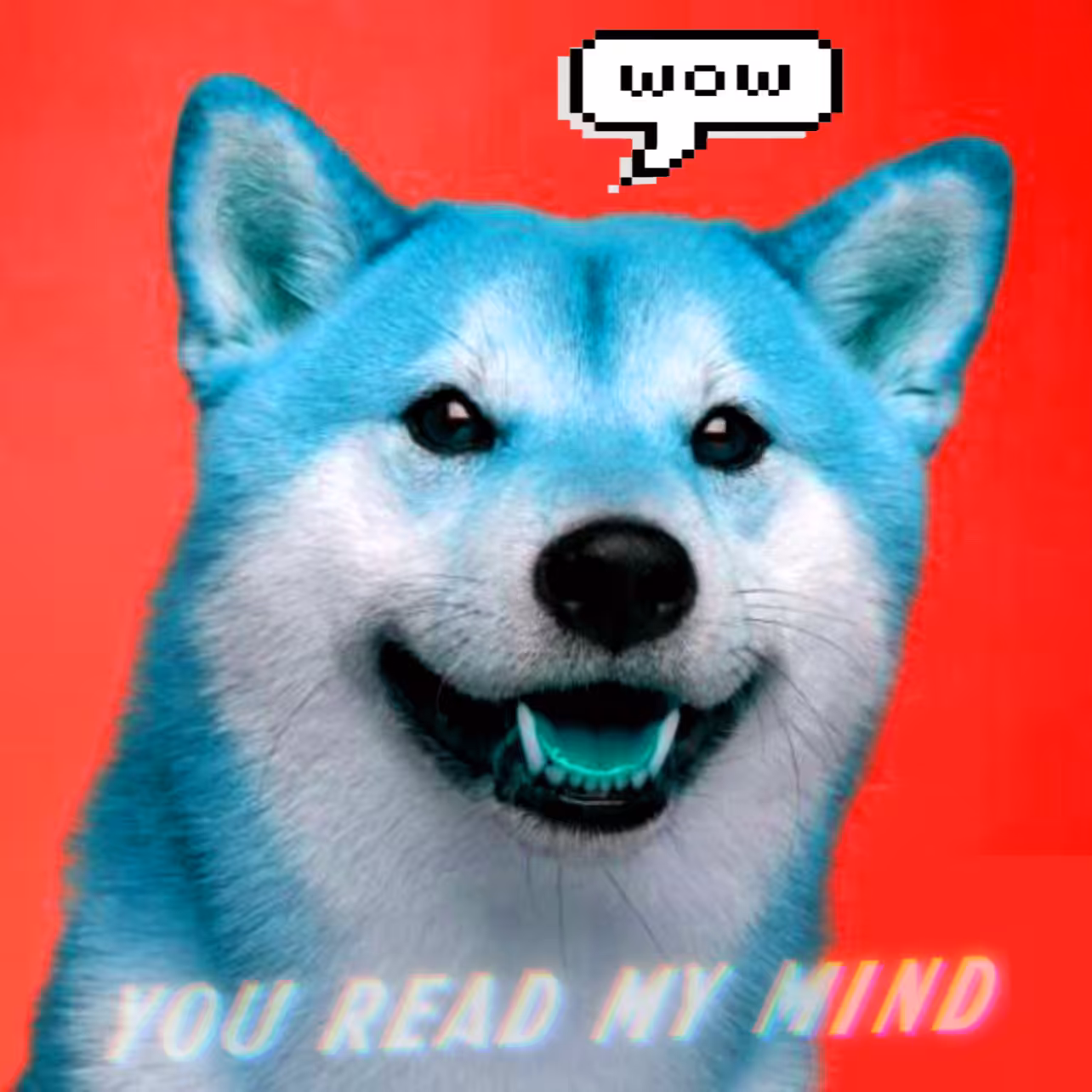 WOW