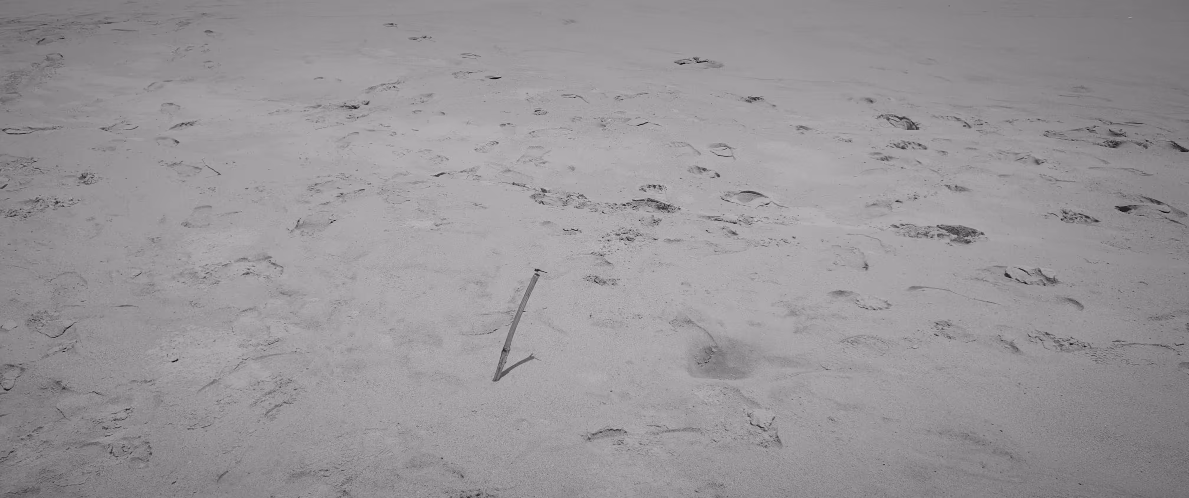a love hate relationship with beach (4)