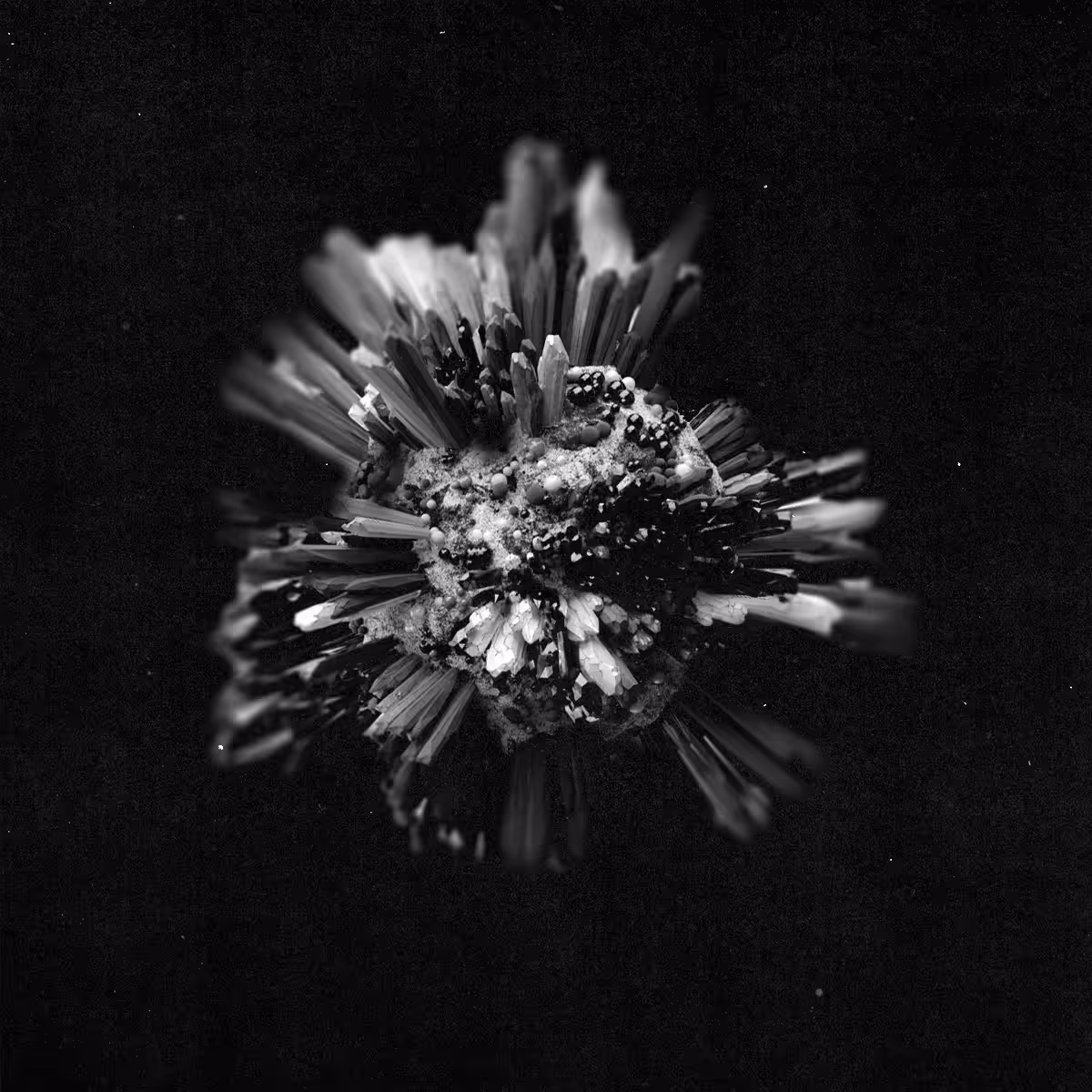 Turning Point #03