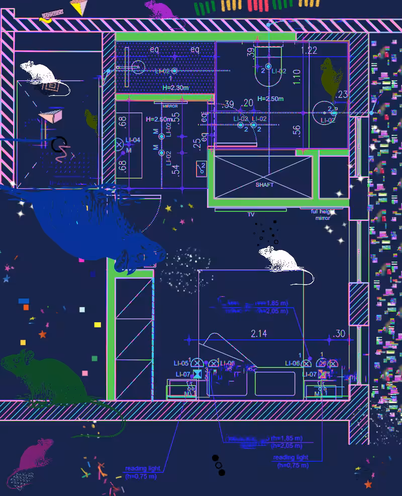 Rat maze