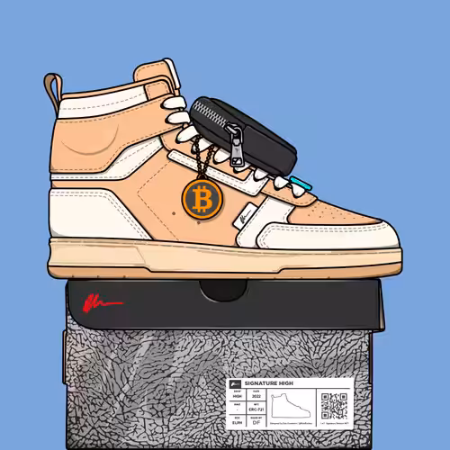 Signature Sneakers Highs #422