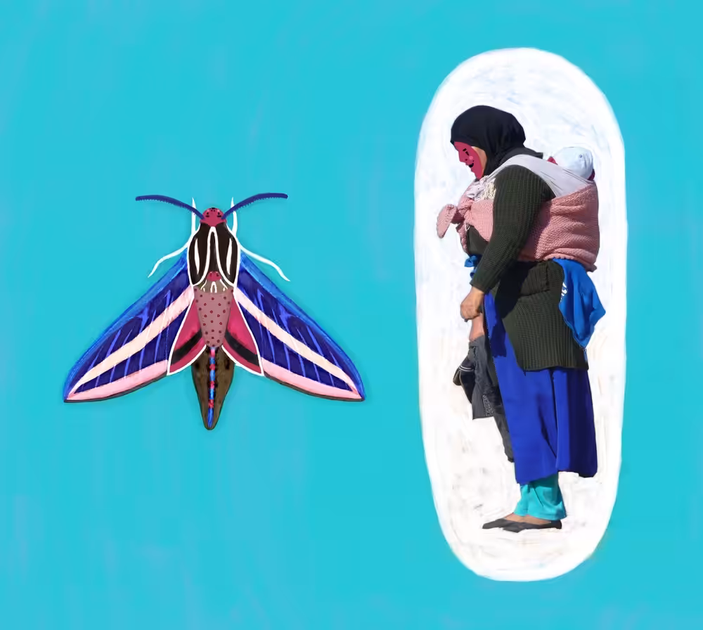 MOTHER MOTH
