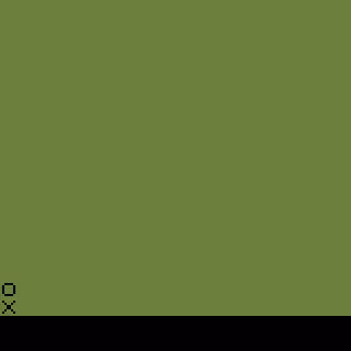 Chameleon #47