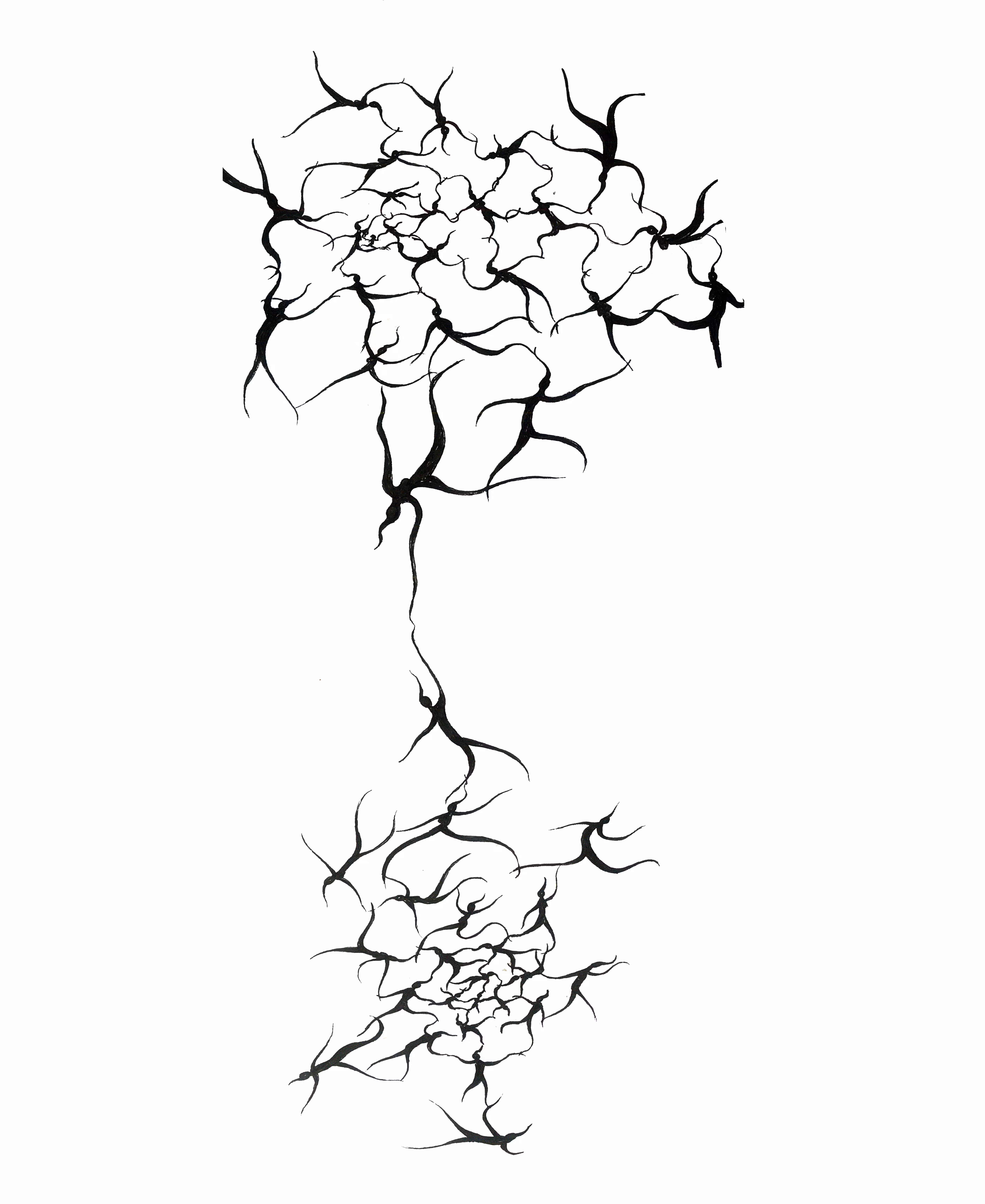 connection