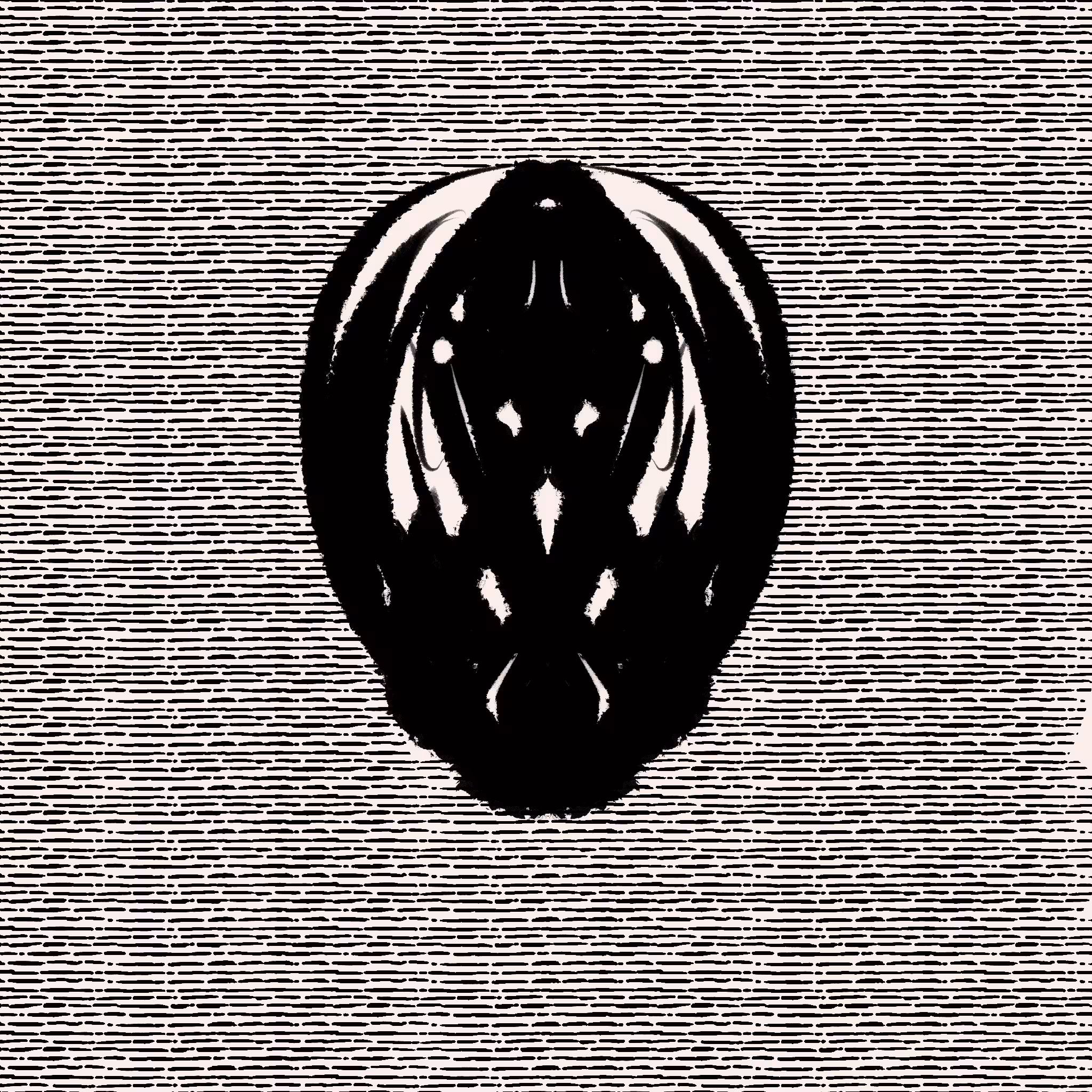 RFX 007