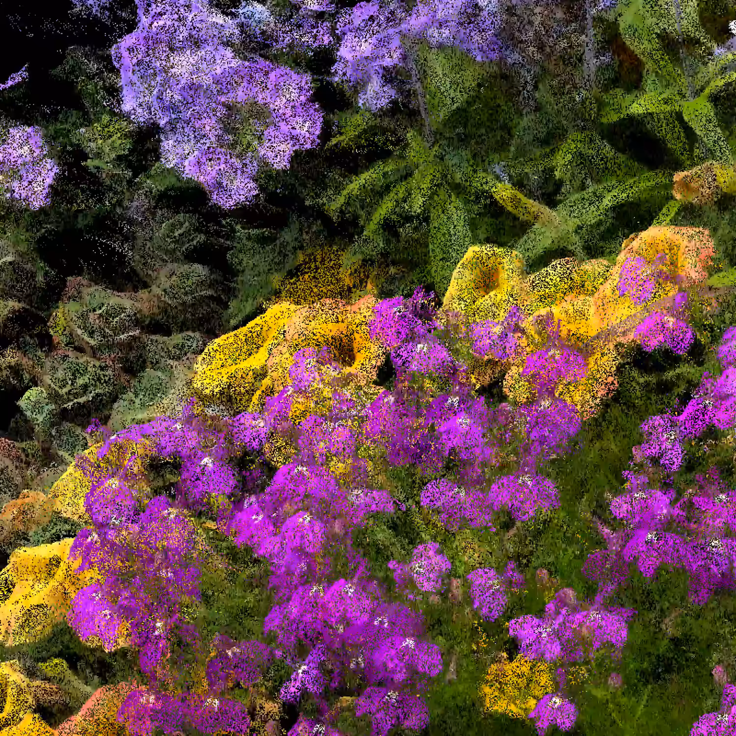 Lobelias and Petunias [NFT version]