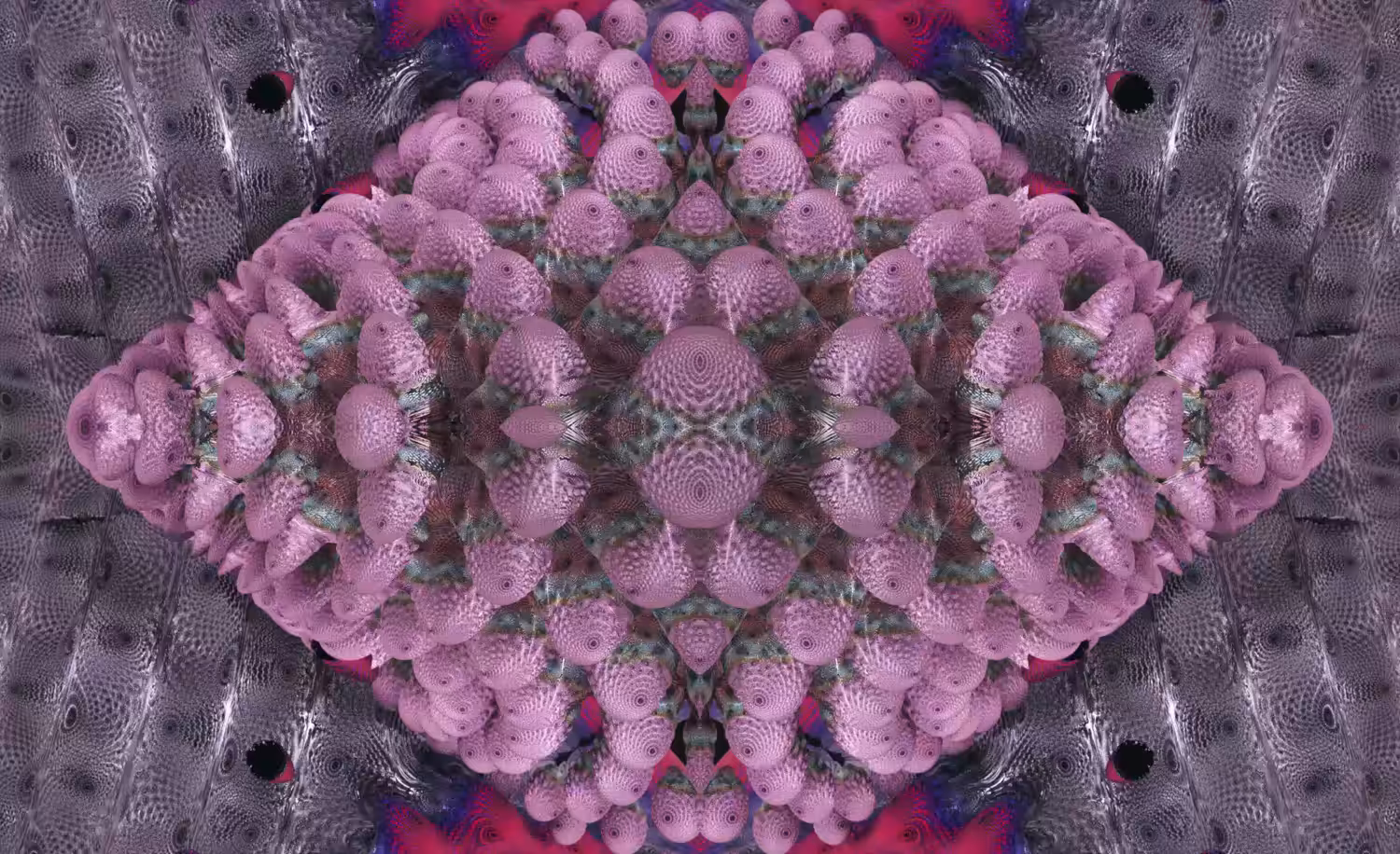 Fractal dreams