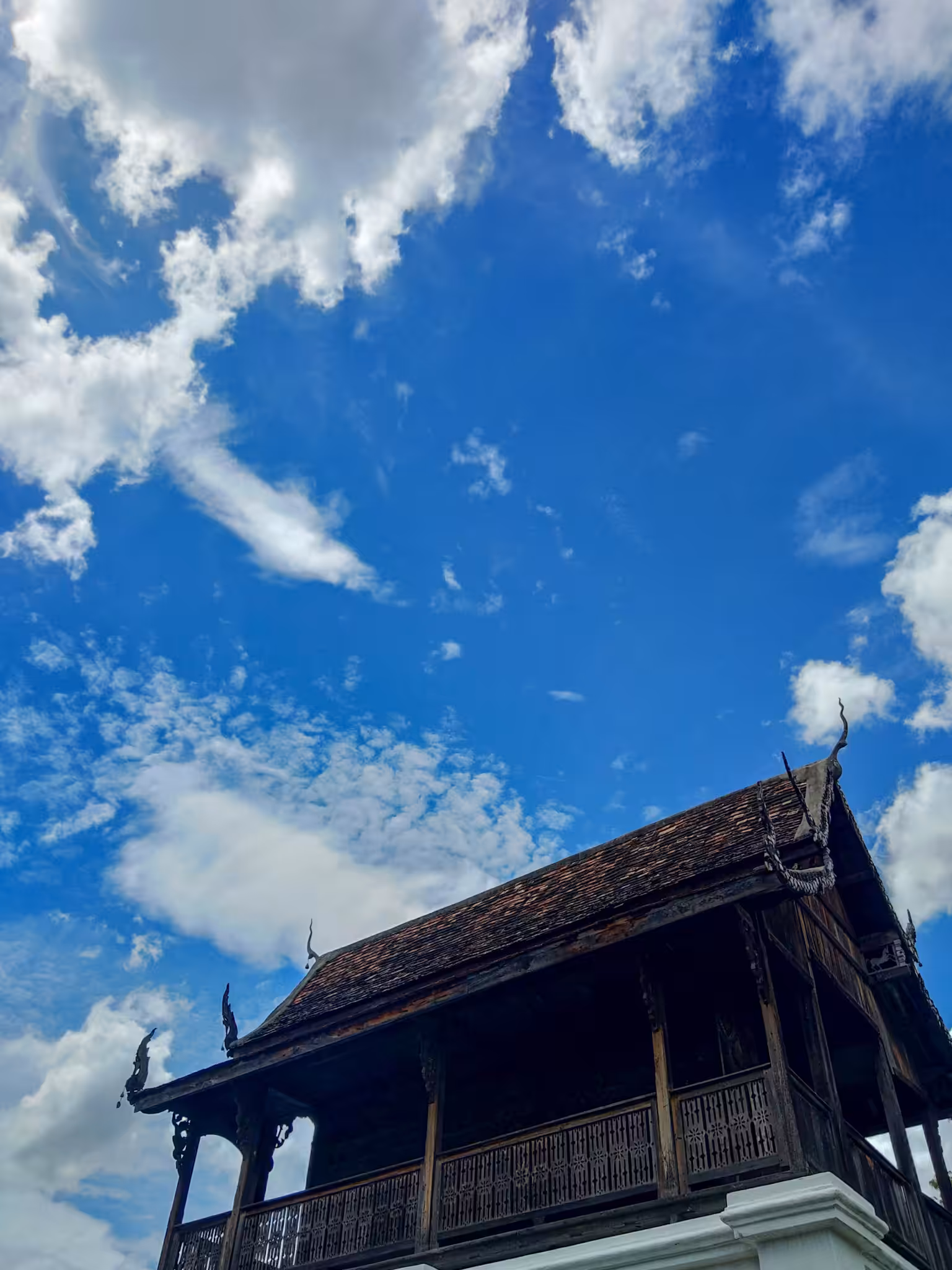 クモ 〇〇五、Old Chiang Mai 2020