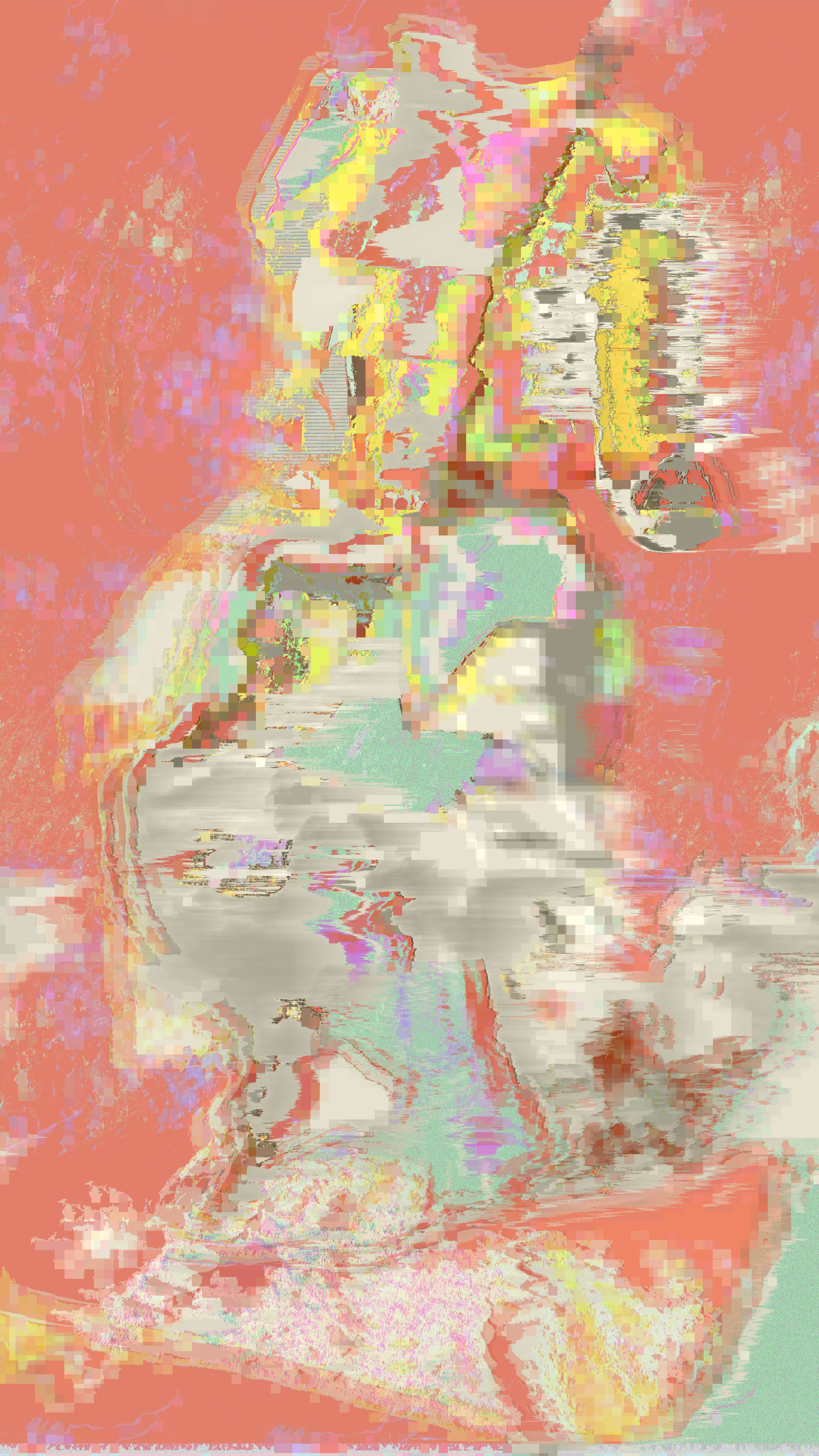 the cost