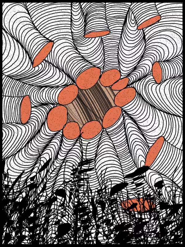 Play with lines #zentangle #19