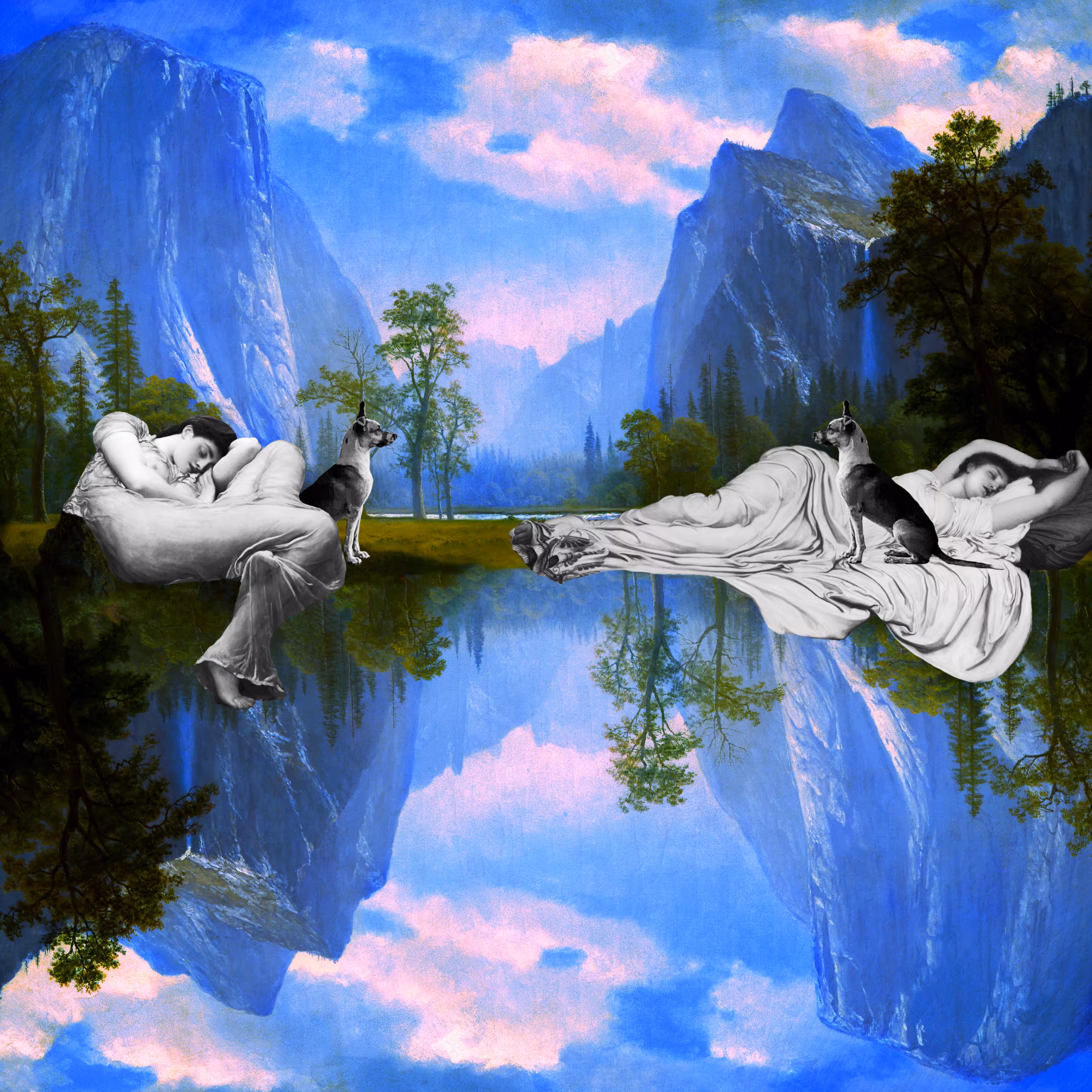 Sleep