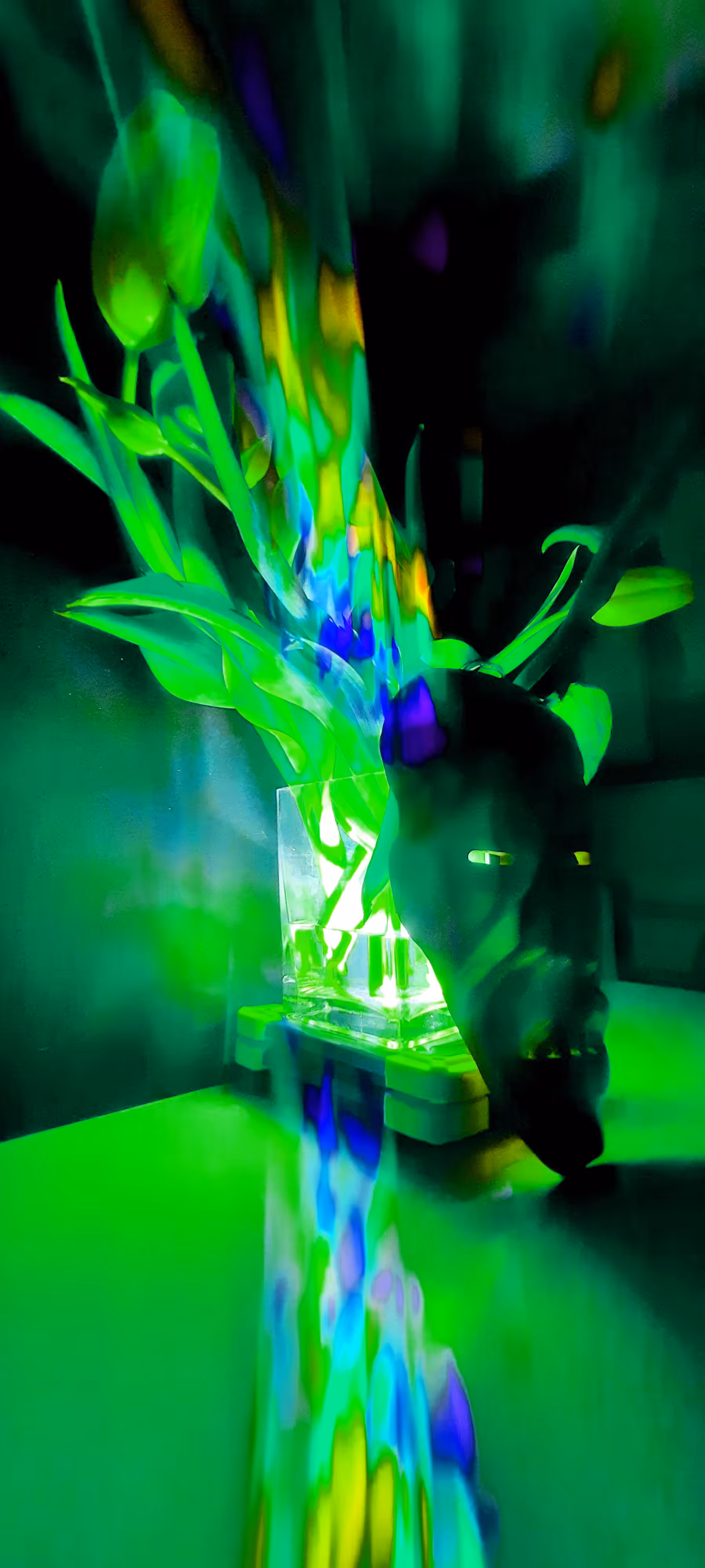 Spectral tribe III