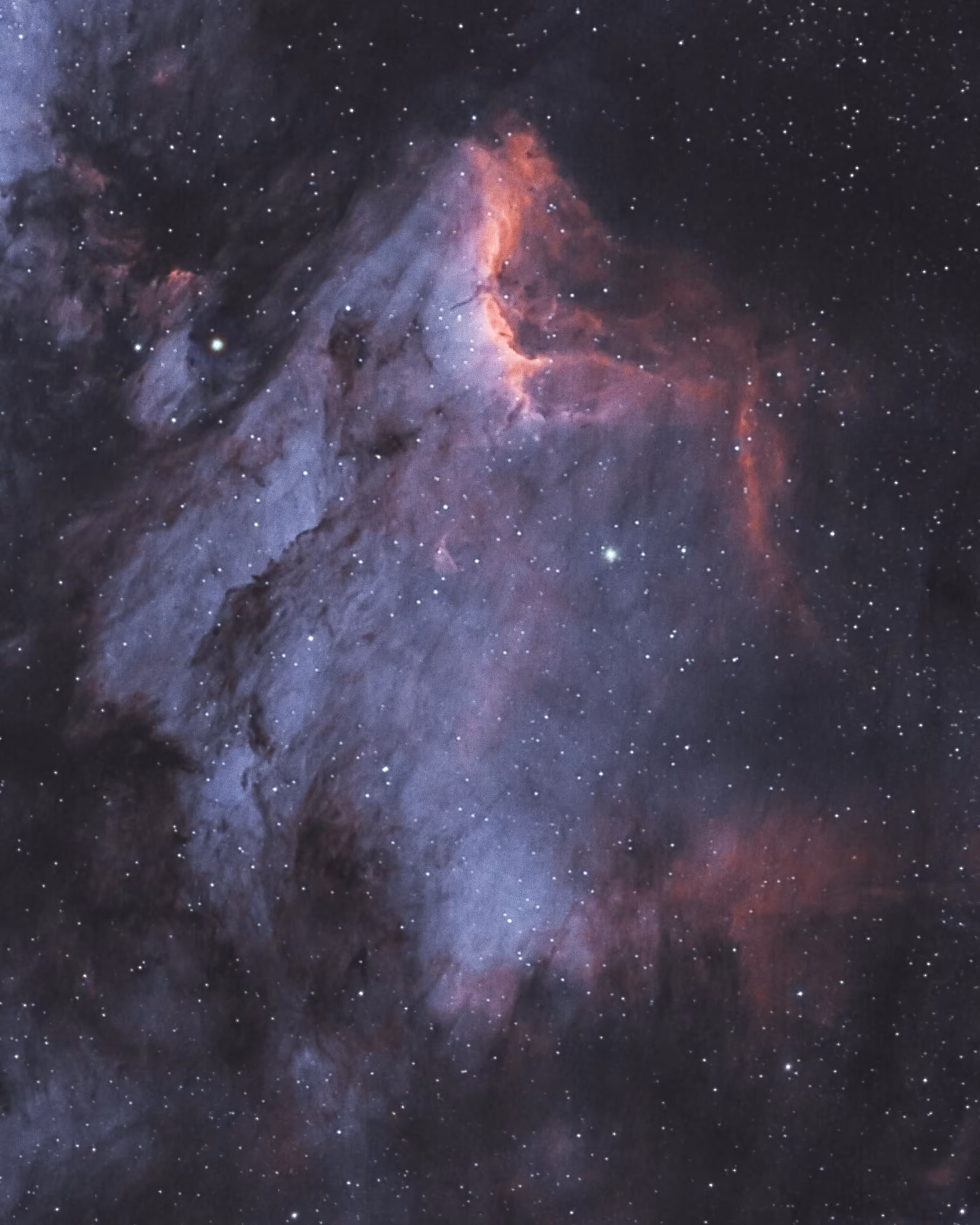 Cosmic Pelican in BiColor