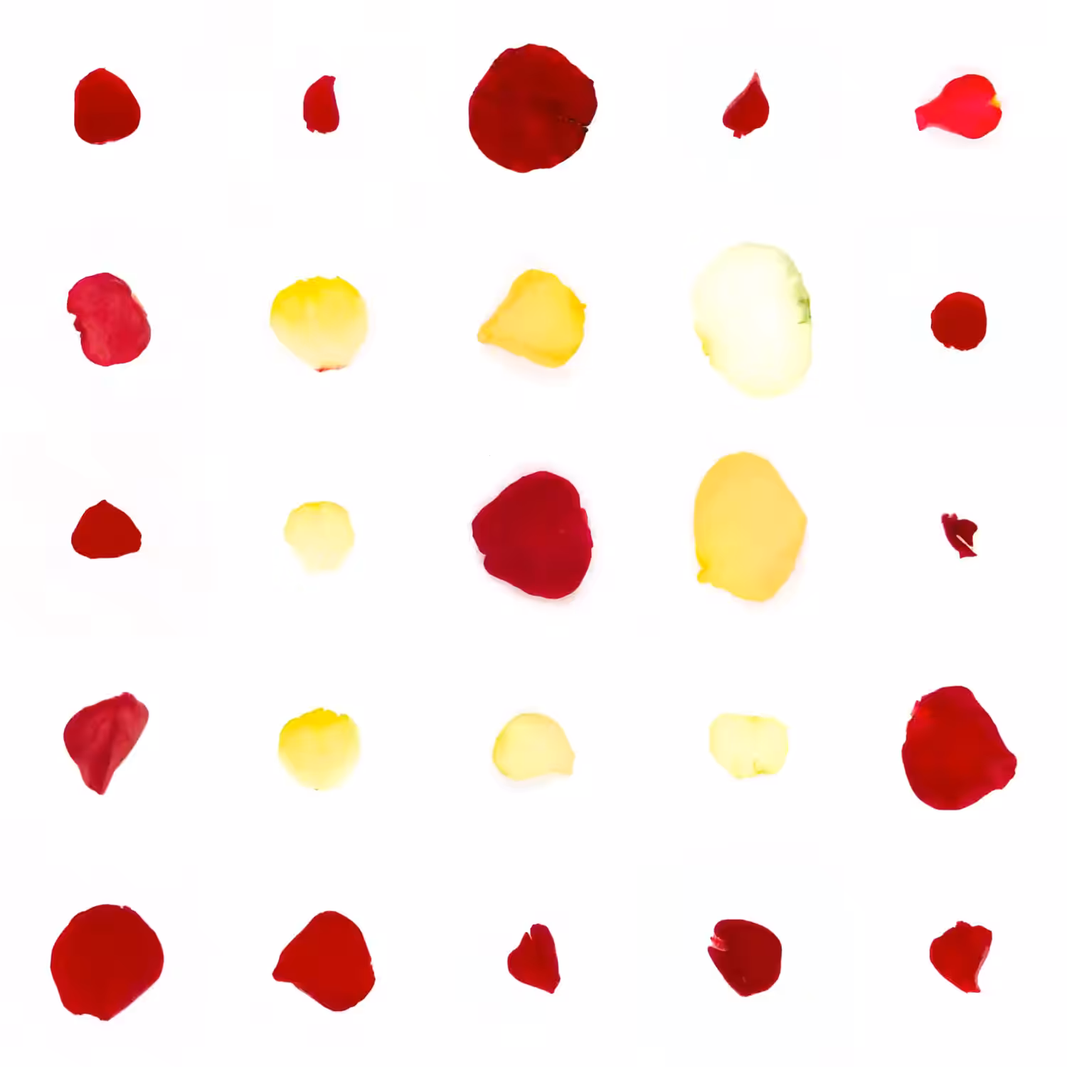 Infinite Petals 5x5#20347