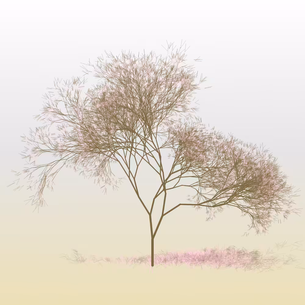 Hanami #22